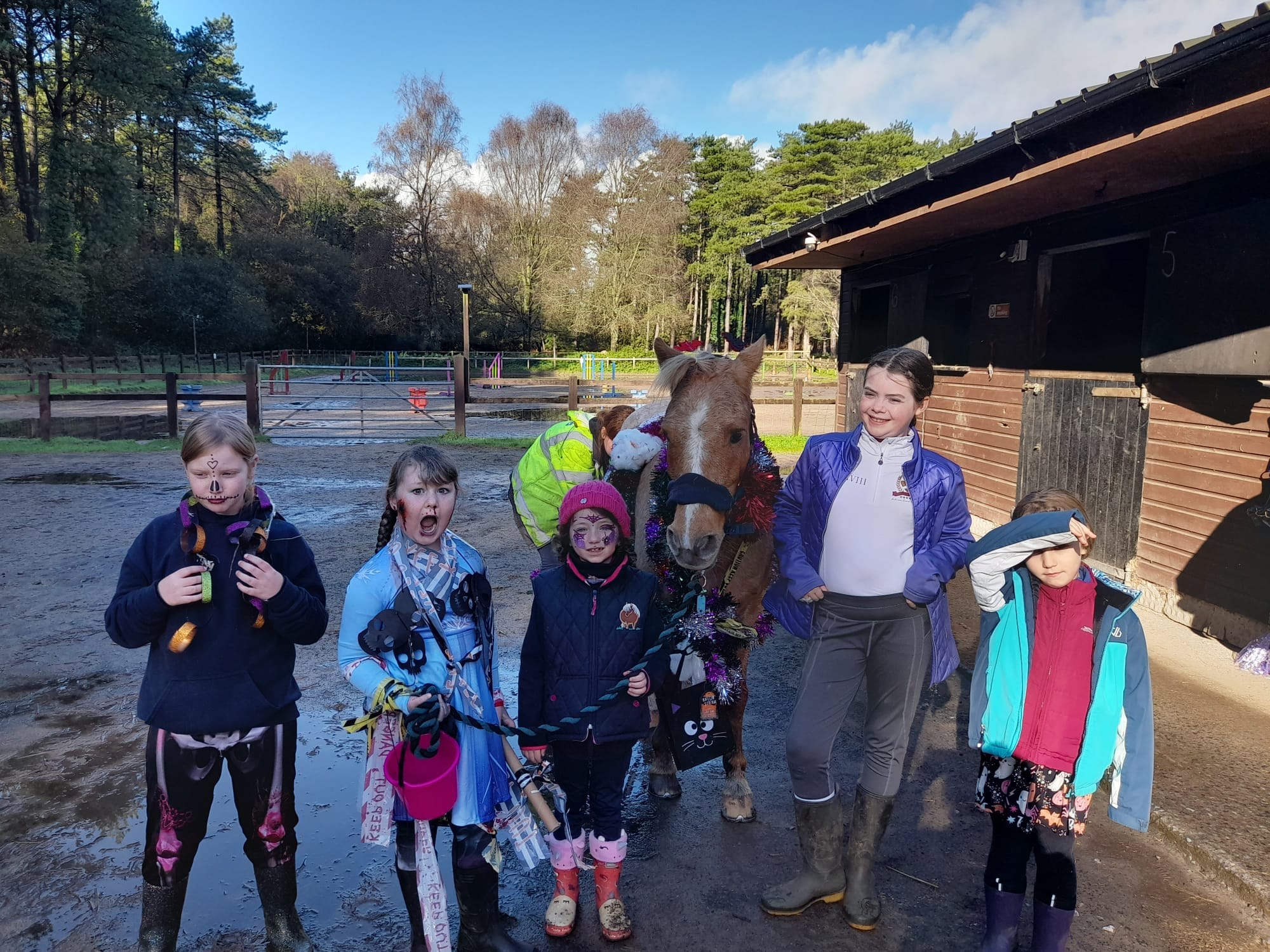 Pembrey Park Riding Centre | Pembrey