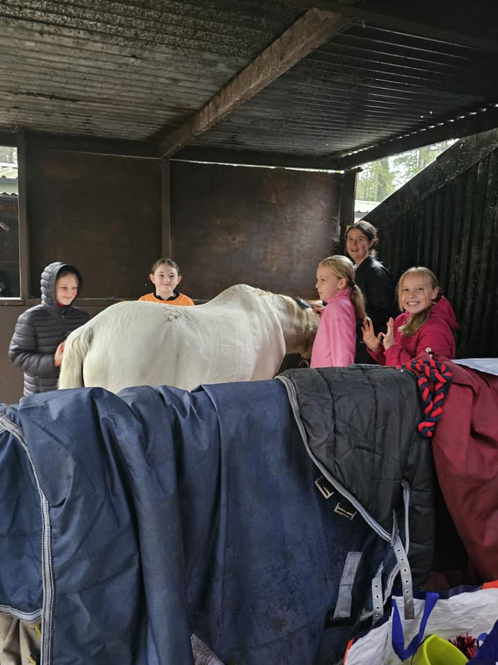 Pembrey Park Riding Centre | Pembrey