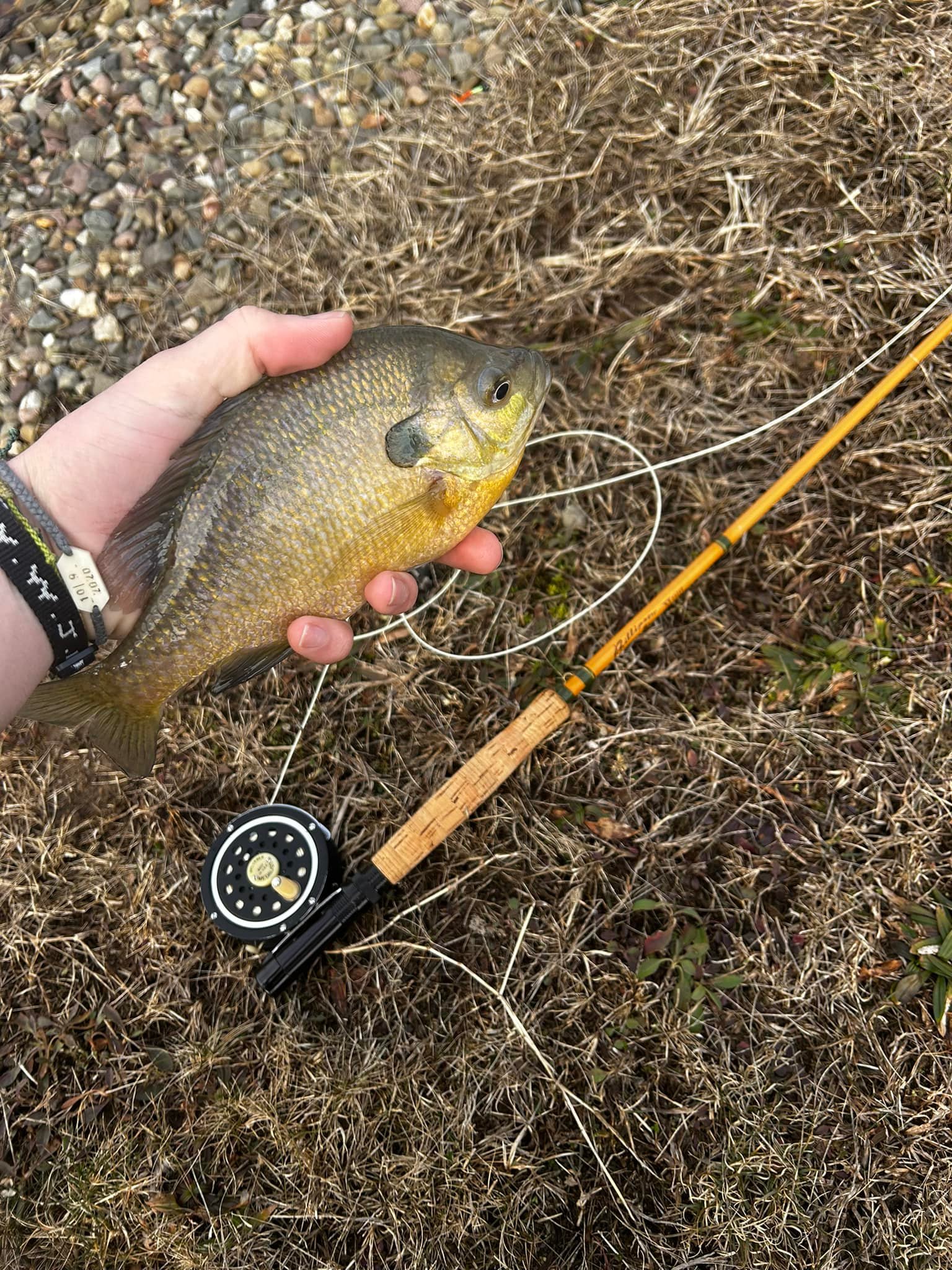 uppababy vista accessories canada C&H WAHOO WACKER LURE, It’s been redesigned with motorcycle-collection Part:#3