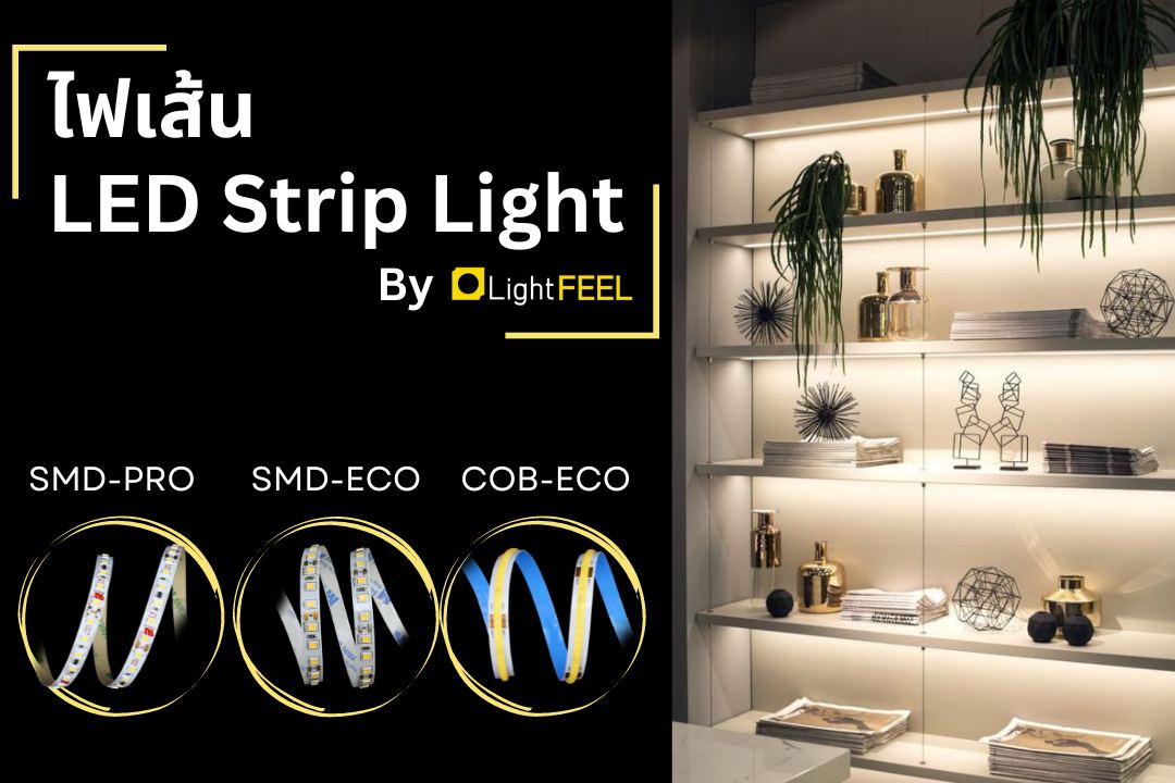 Light FEEL - ไฟเส้น LED Strip Light มีมาให้เลือกทั้ง 3... | Facebook