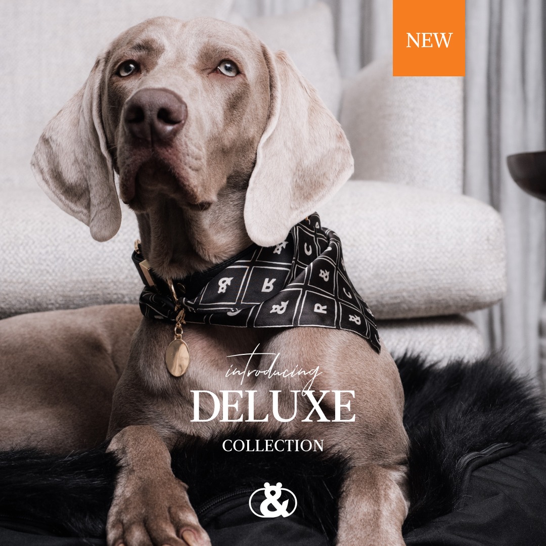 The Fur Salon by Rufus & Coco | Sydney NSW