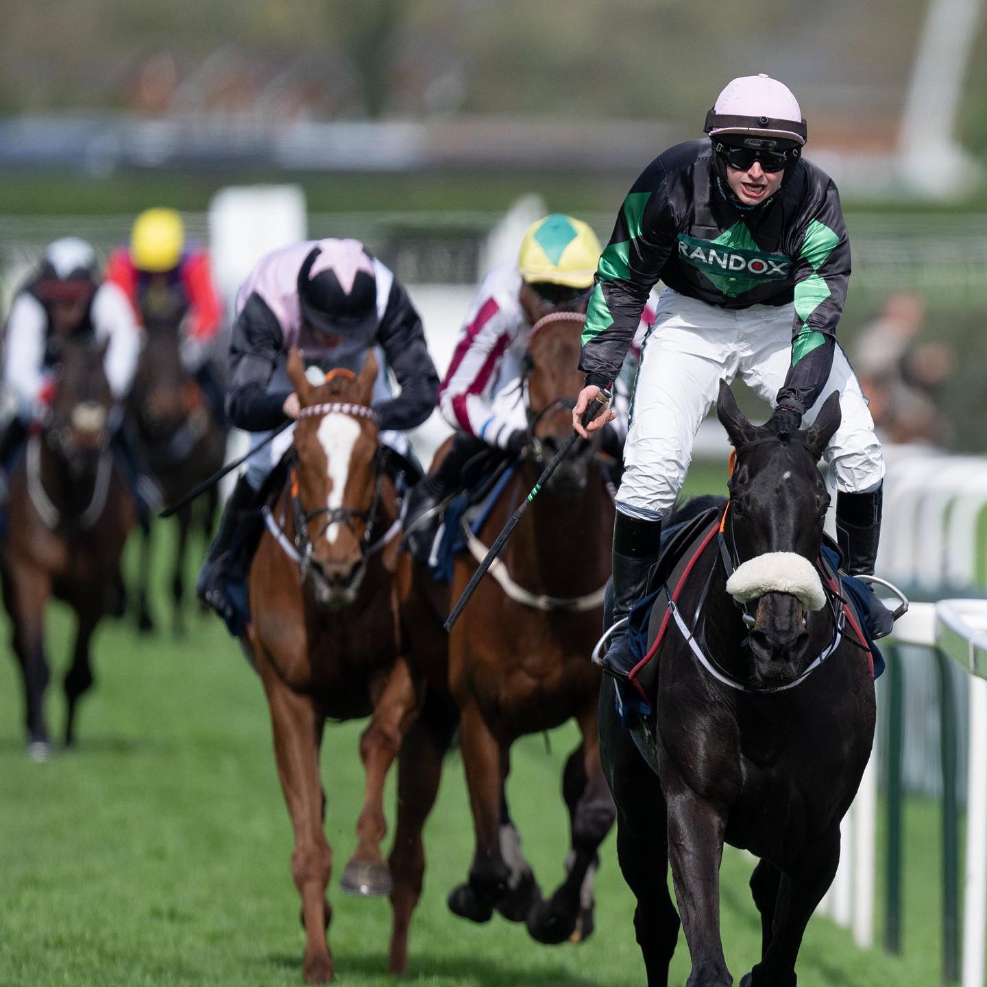 🖤💚 GRADE 1 GLORY 💚🖤 An unforgettable... - Olly Murphy Racing