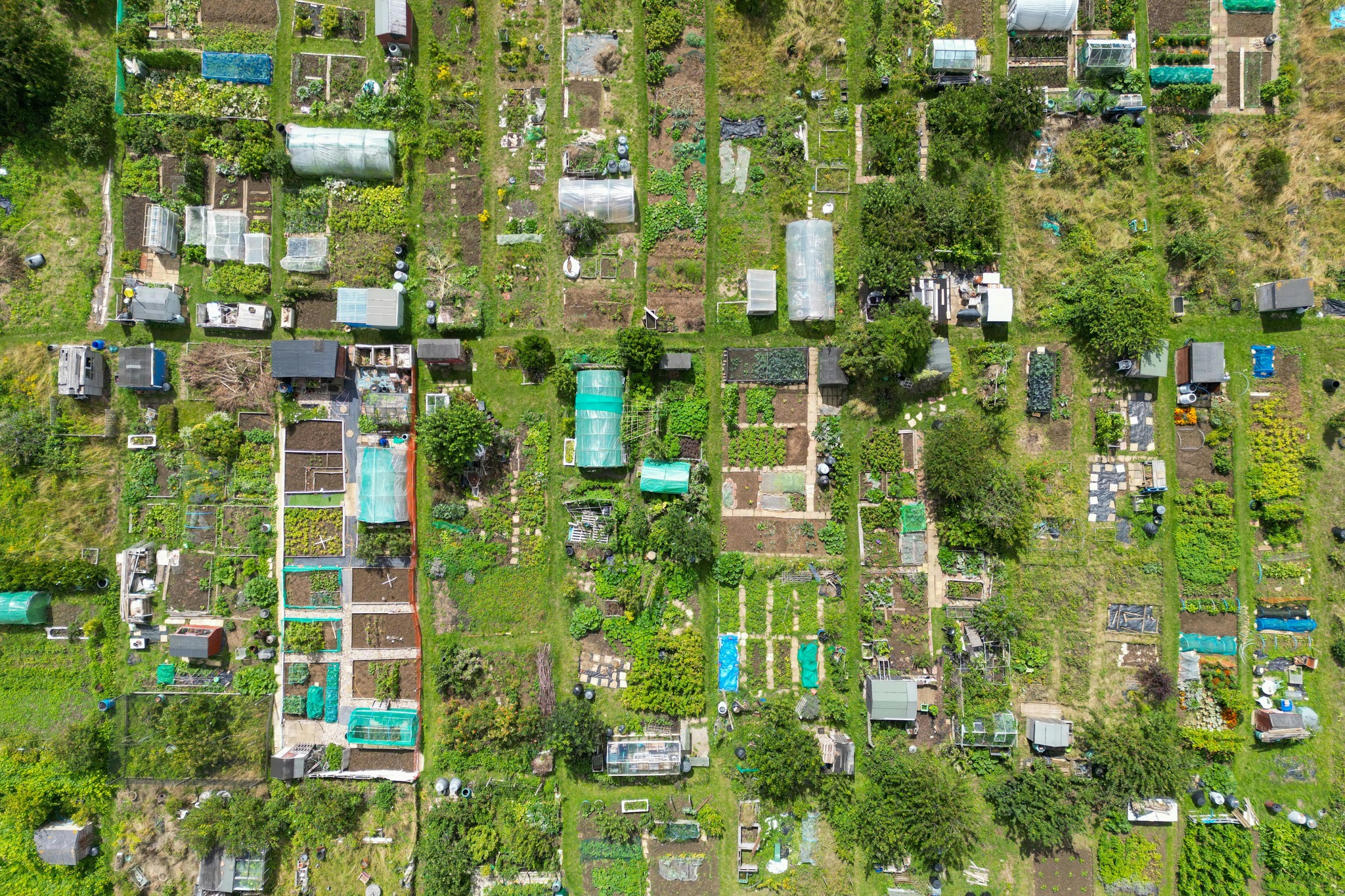 Adelaide... - Adelaide Sustainable Building Network
