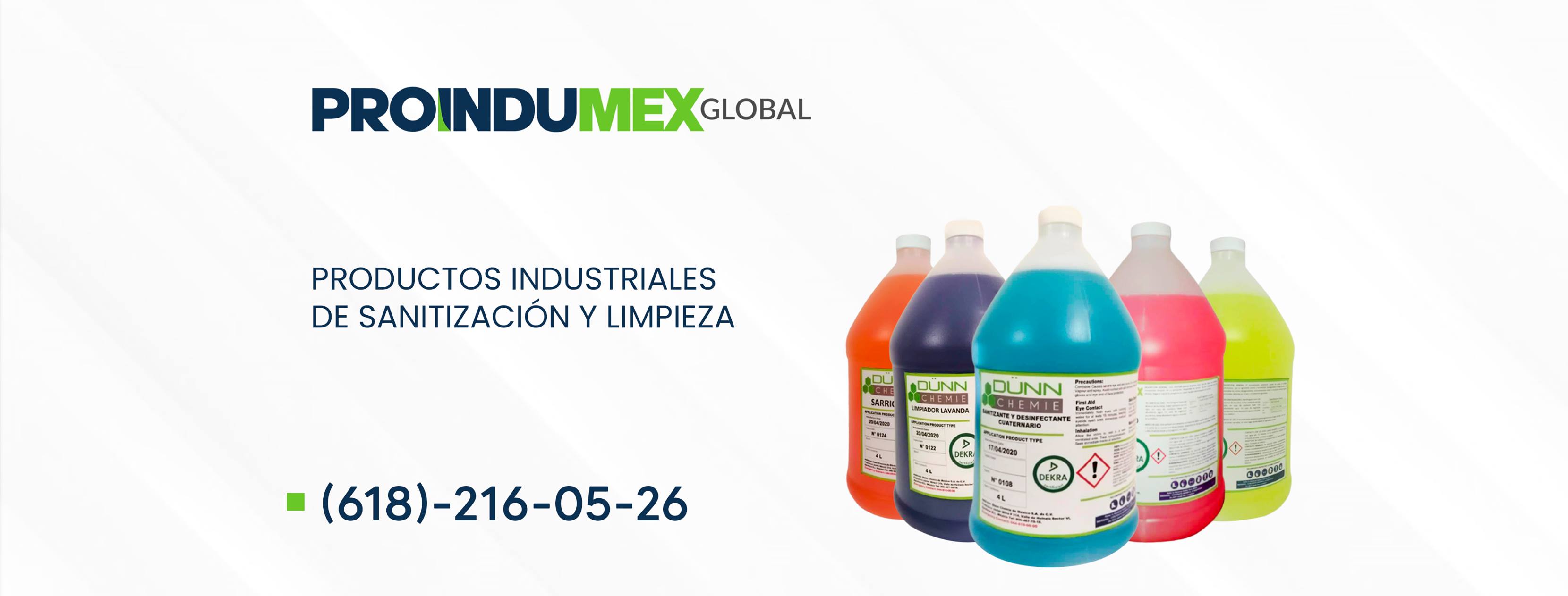 PROINDUMEX | Durango