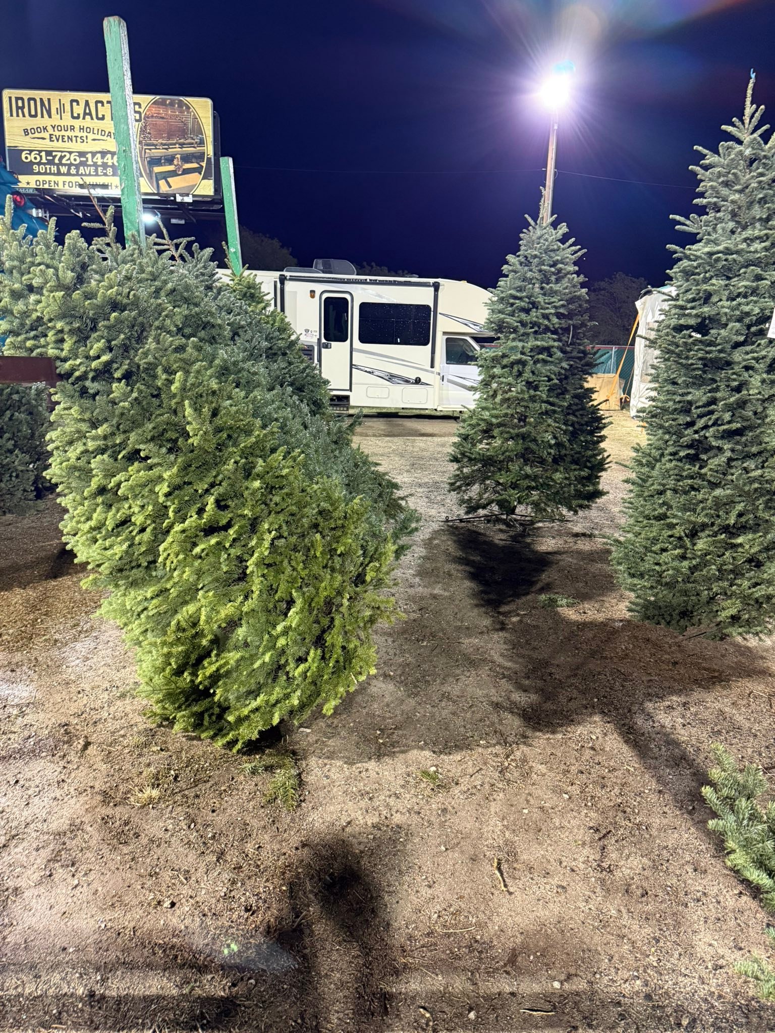 Dallas Trees | Lancaster CA