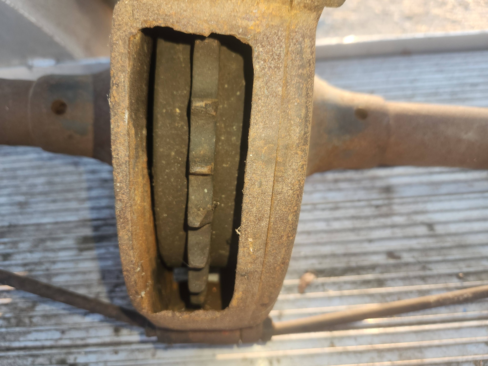 Trying to identify this differential!