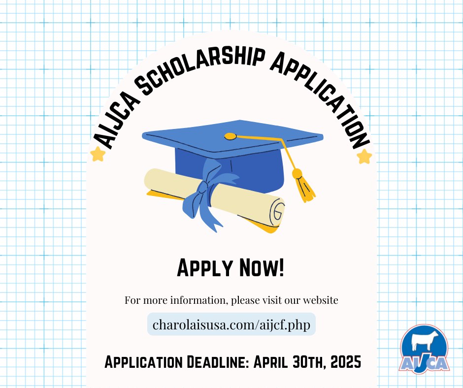 American - 🥳We're excited to announce that our 2025 Scholarship ...