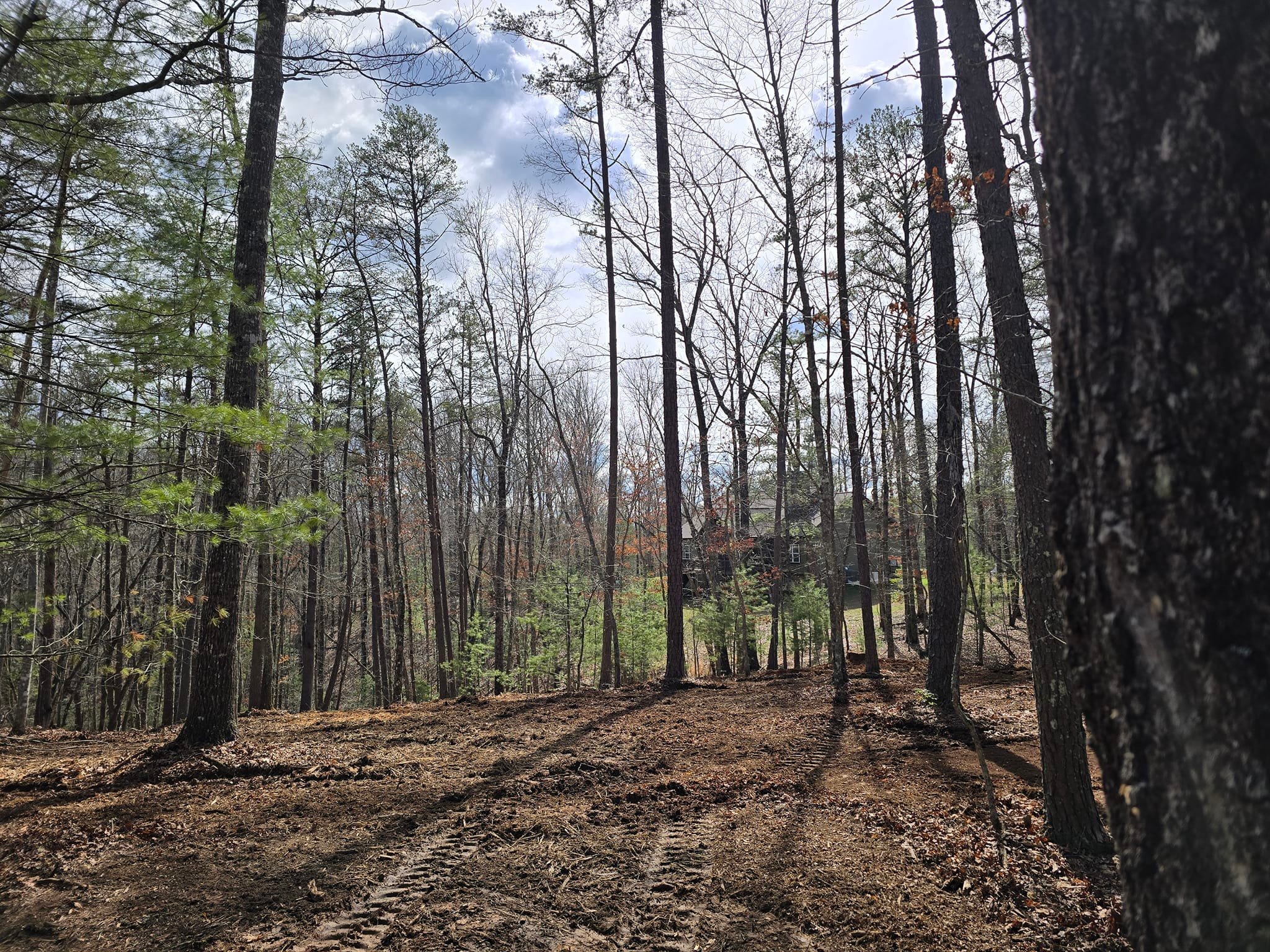 Tucker's Tree Service & Excavating, Inc. | Blue Ridge GA