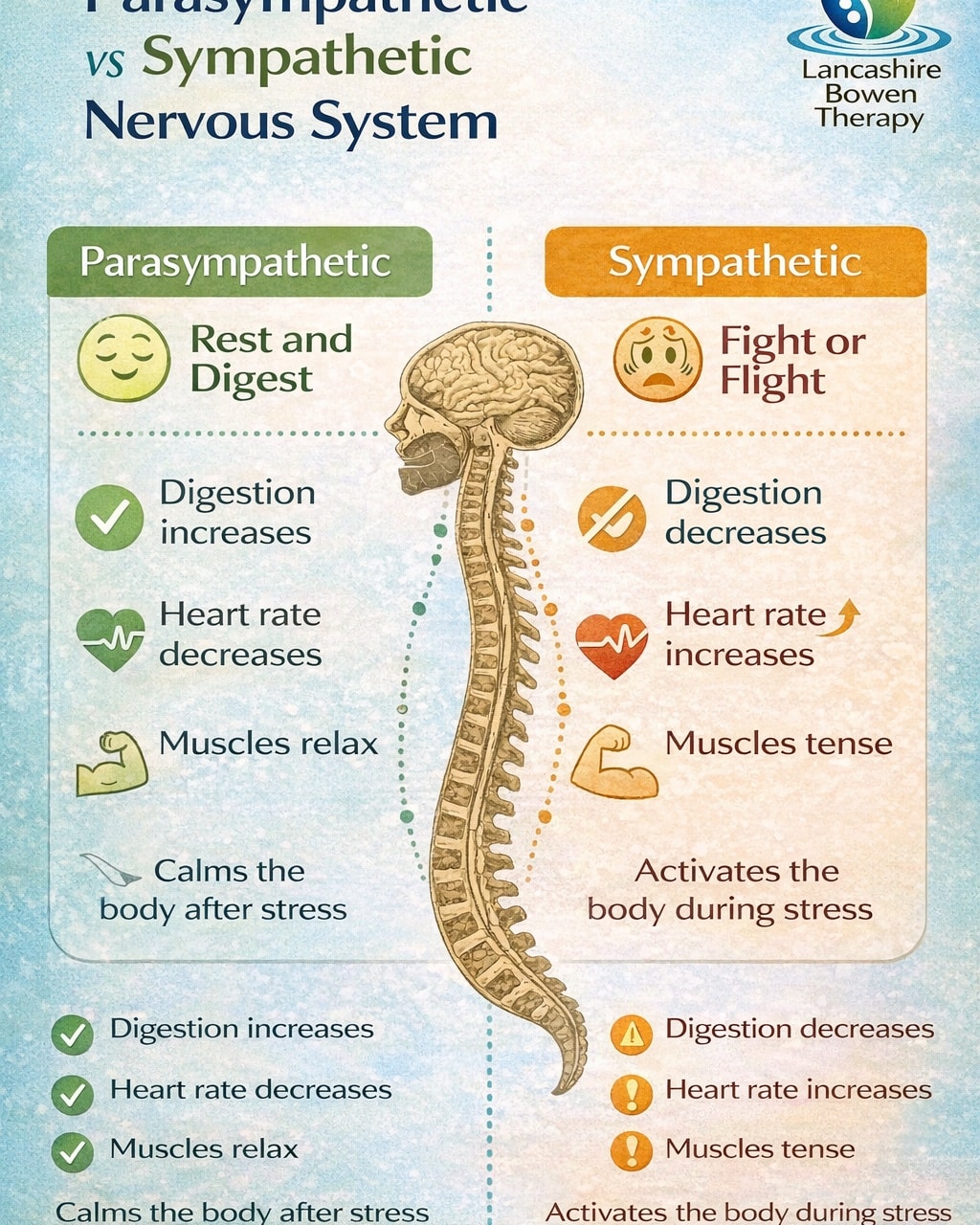 Your body has two main modes. 🔵... - Lancashire Bowen Therapy | Facebook
