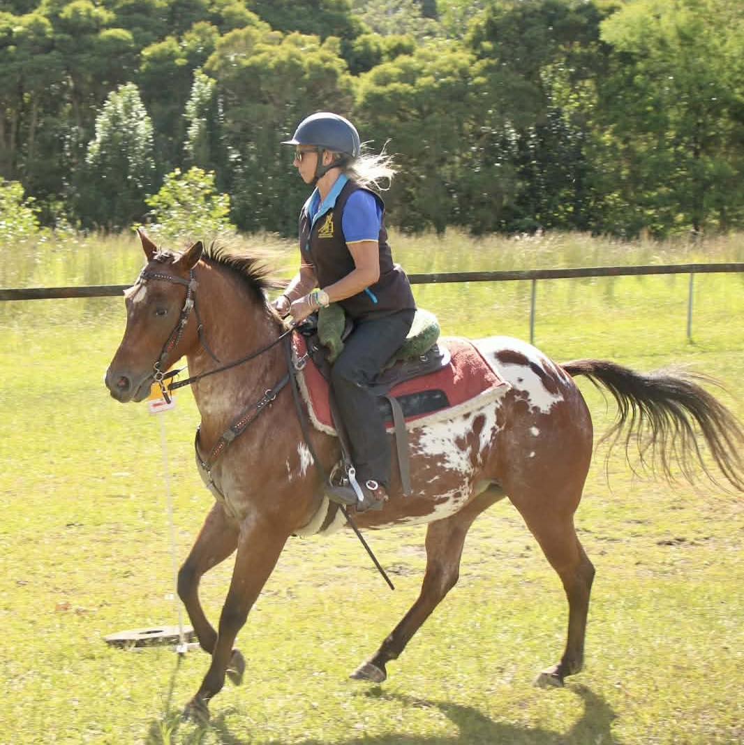 Graeme Cunningham Sunday Mid North Coast Barrel Racing & Horse Sport ...