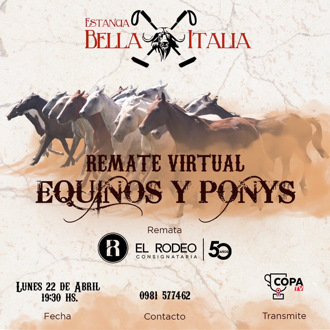 El Rodeo Consignataria | Asunción