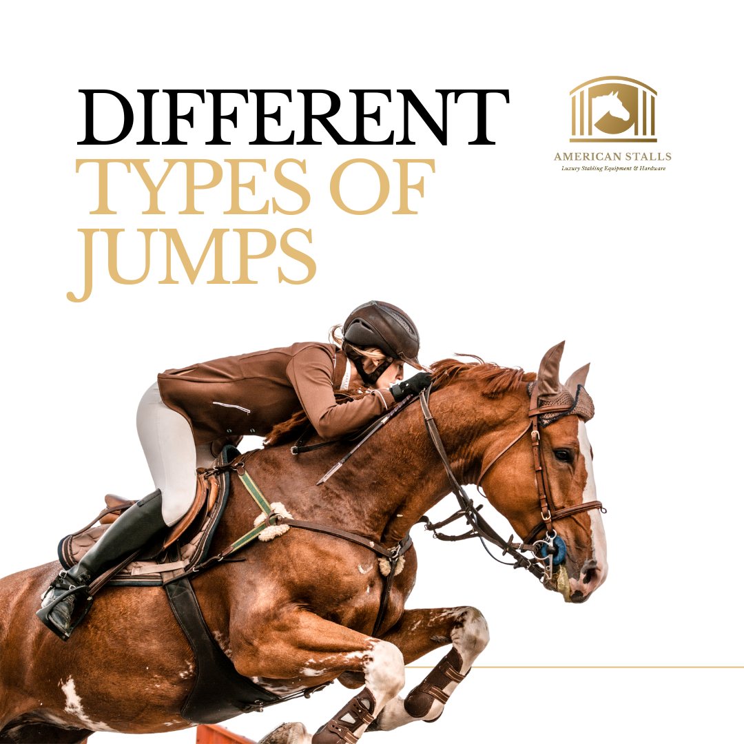 American Stalls - 🐴 Explore the different types of horse... | Facebook