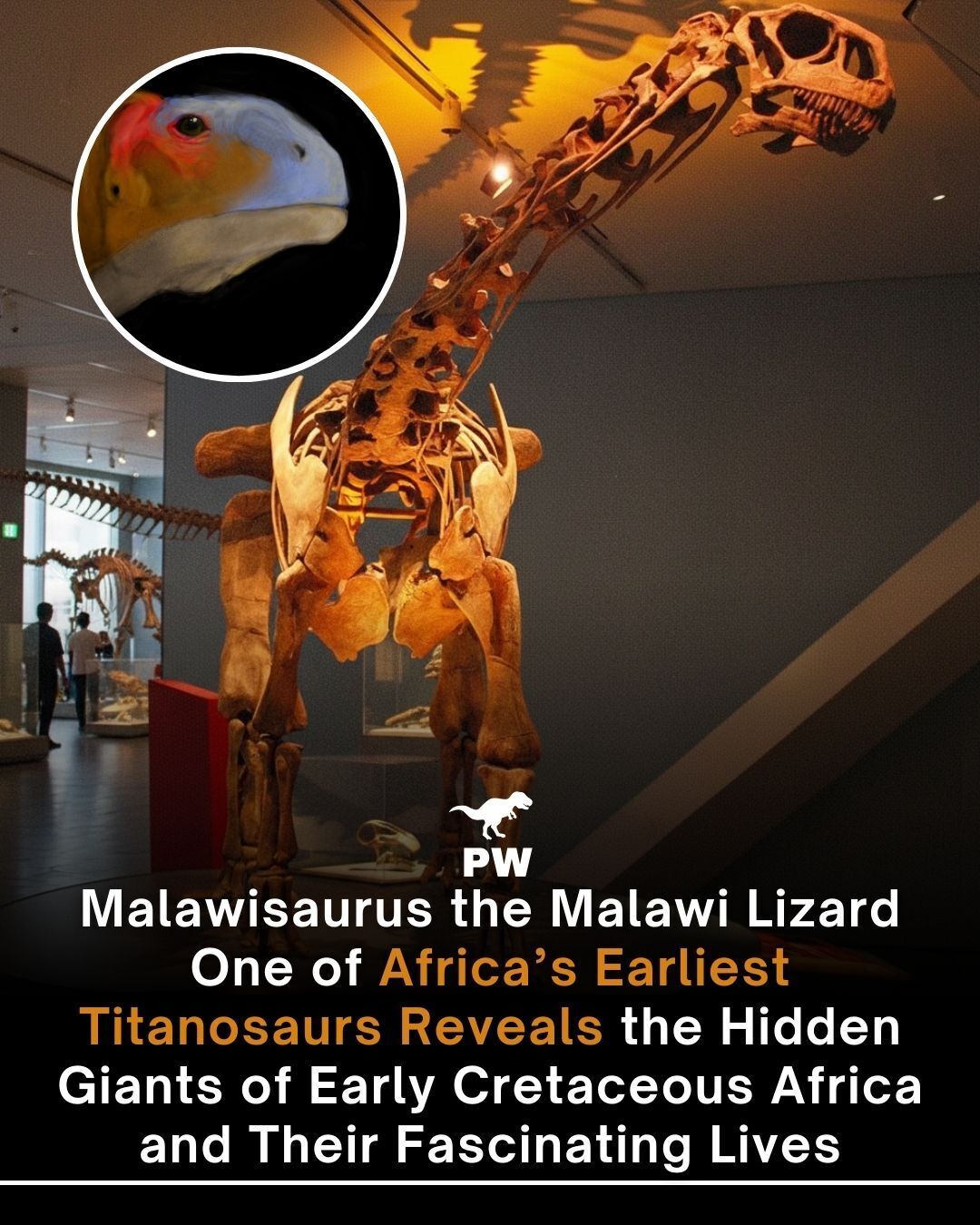 The Prehistoric - Buried in the ancient Dinosaur Beds of northern ...