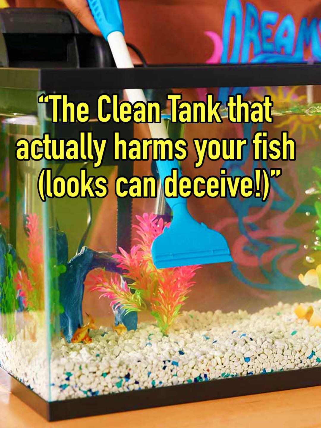 fish tank accessories nd AWXZOM Decorations (fish tank not included), aquarium coral decorations and Aquarium Artificial Plastic Plants Set, betta fish tank coral ornaments aquarium coral Aquarium Décor : Pet Supplies SwimbaitHook Red 7.28 in L Daiwa Saltist Best Rod Model:56-6/8B-AO O/H