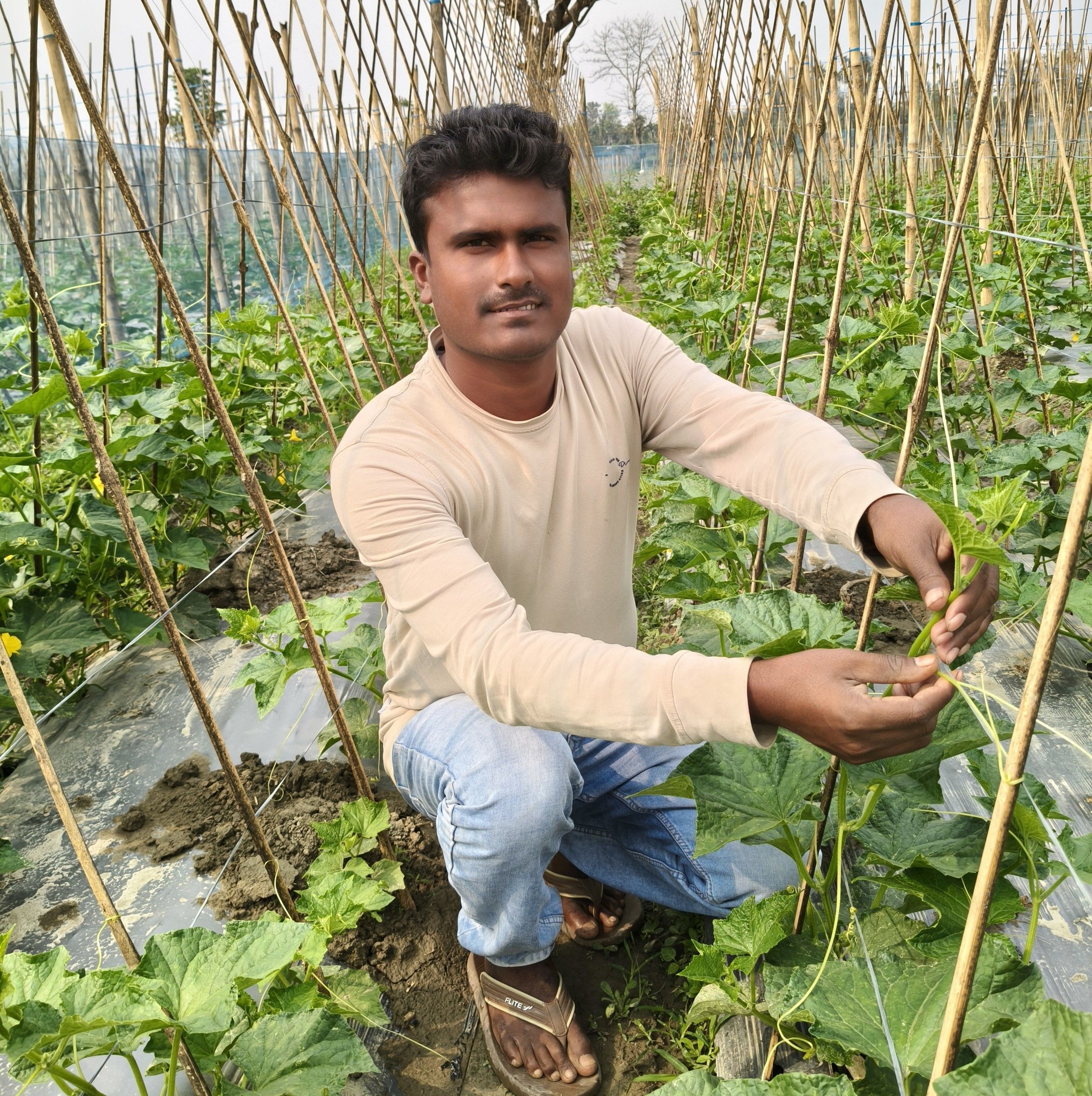 Subah ki taaza sabji, seedha mandi se Mehnat ka rang hamesha hara hota ...