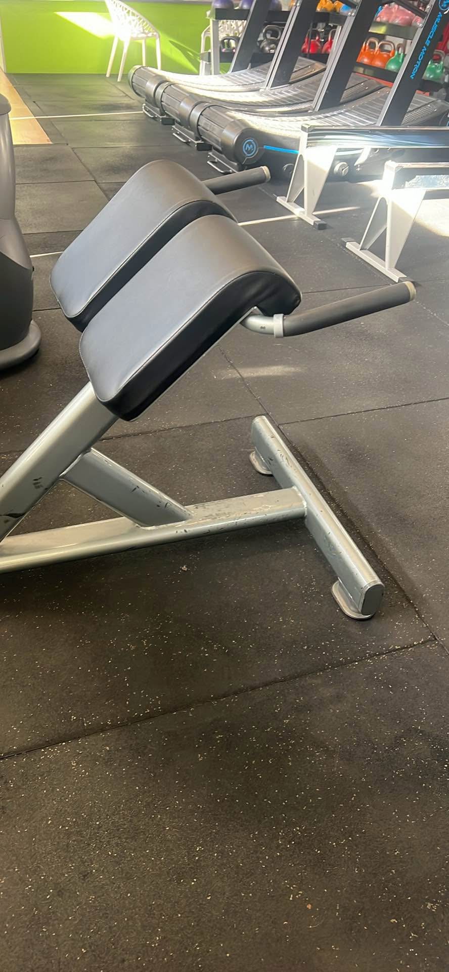 Back extension machine - Weight Lifting Machines & Racks - Sydney ...