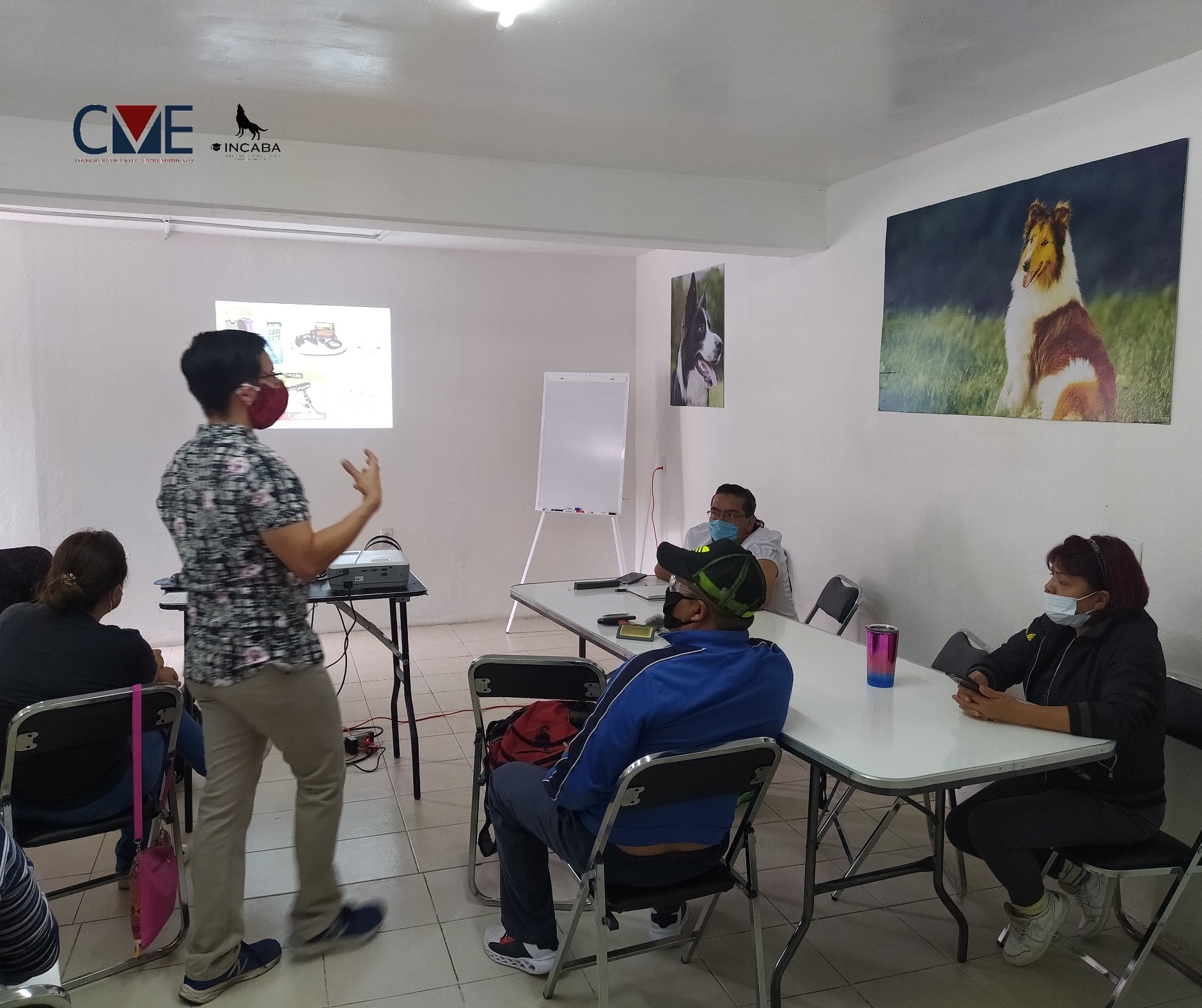 😁 Retomamos actividades... - Incaba Servicios Profesionales
