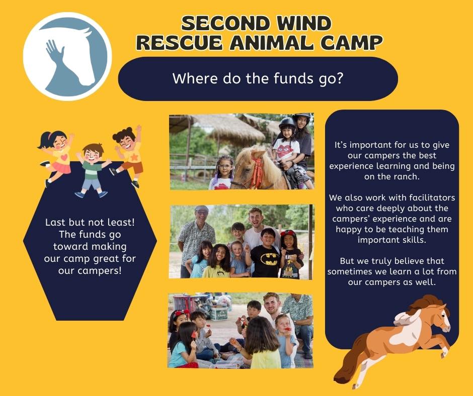 Thinking... - Second Wind Ranch & Rescue เซคค่อนวินฟาร์ม