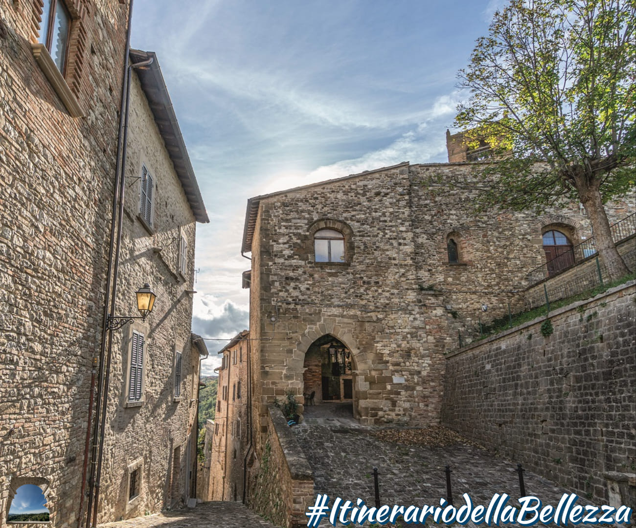 Le Marche di Urbino