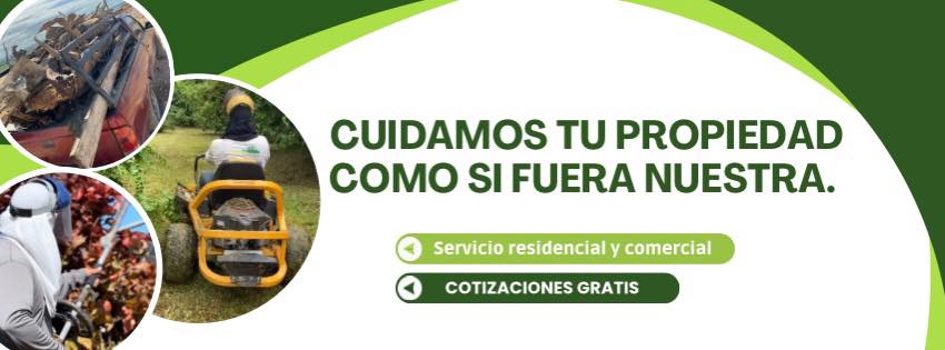 Torres Landscaping