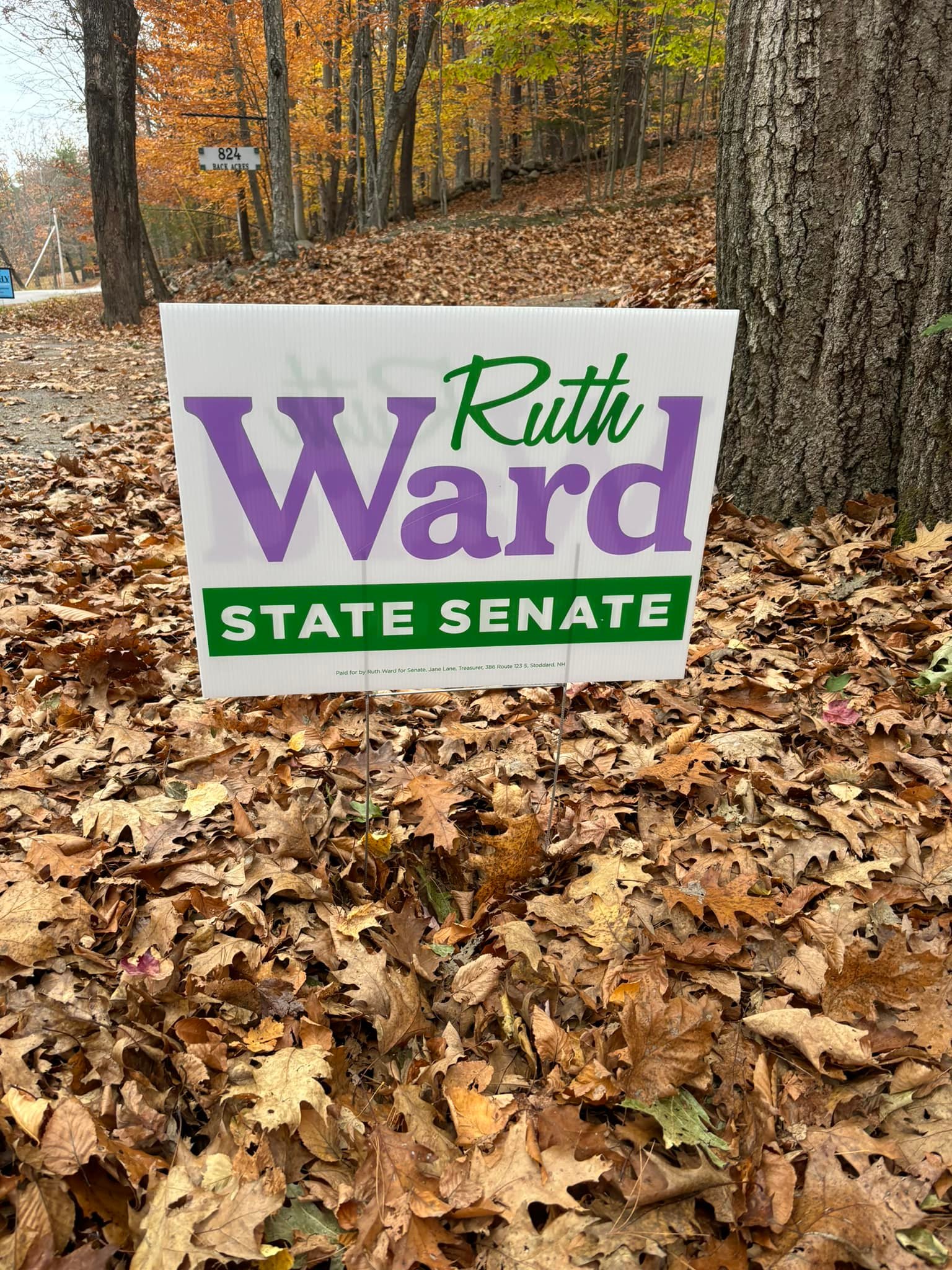 Ruth Ward for Senate