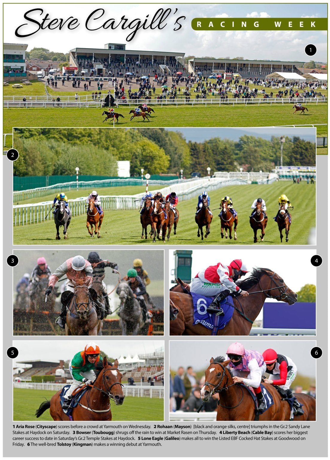Check out the latest action in... - European Bloodstock News