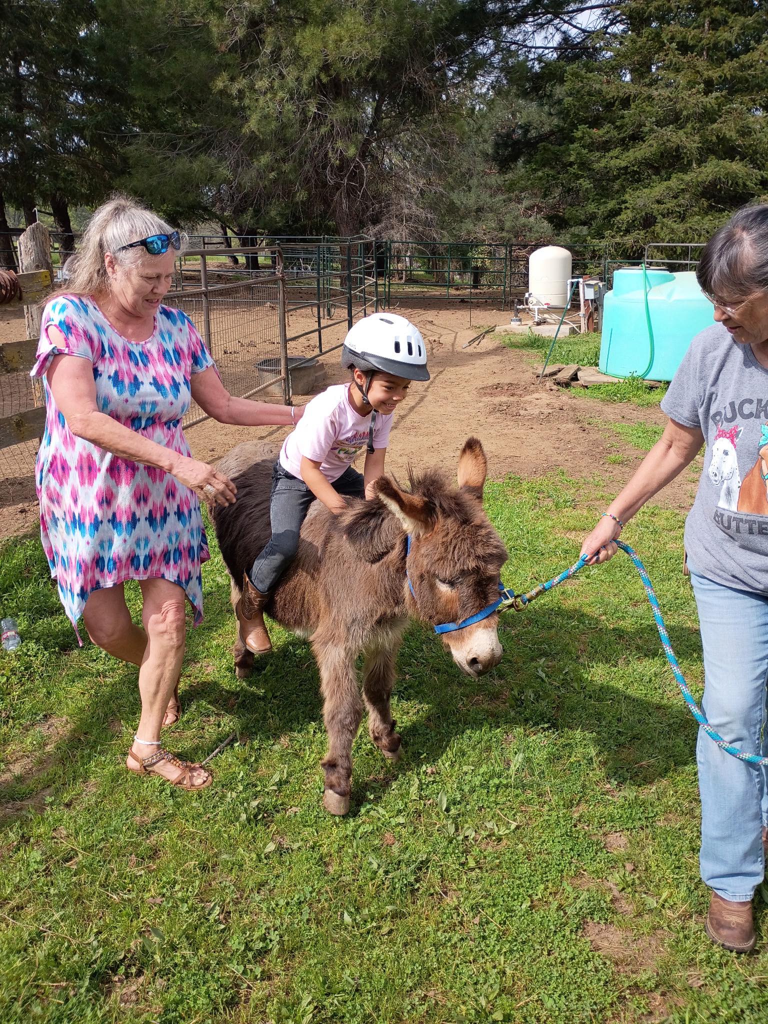 Love & Mercy Kid Horse Rescue | Groveland CA