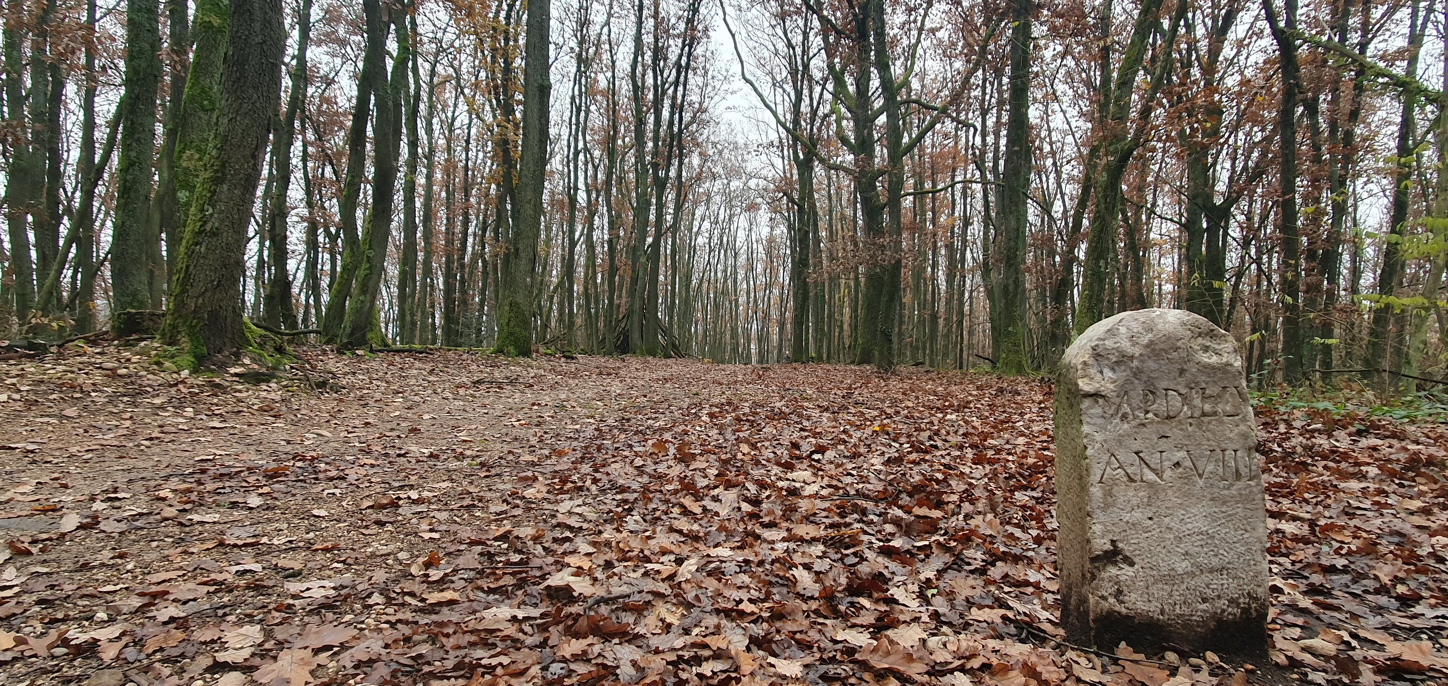 Commune de Dardilly added a new photo. - Commune de Dardilly