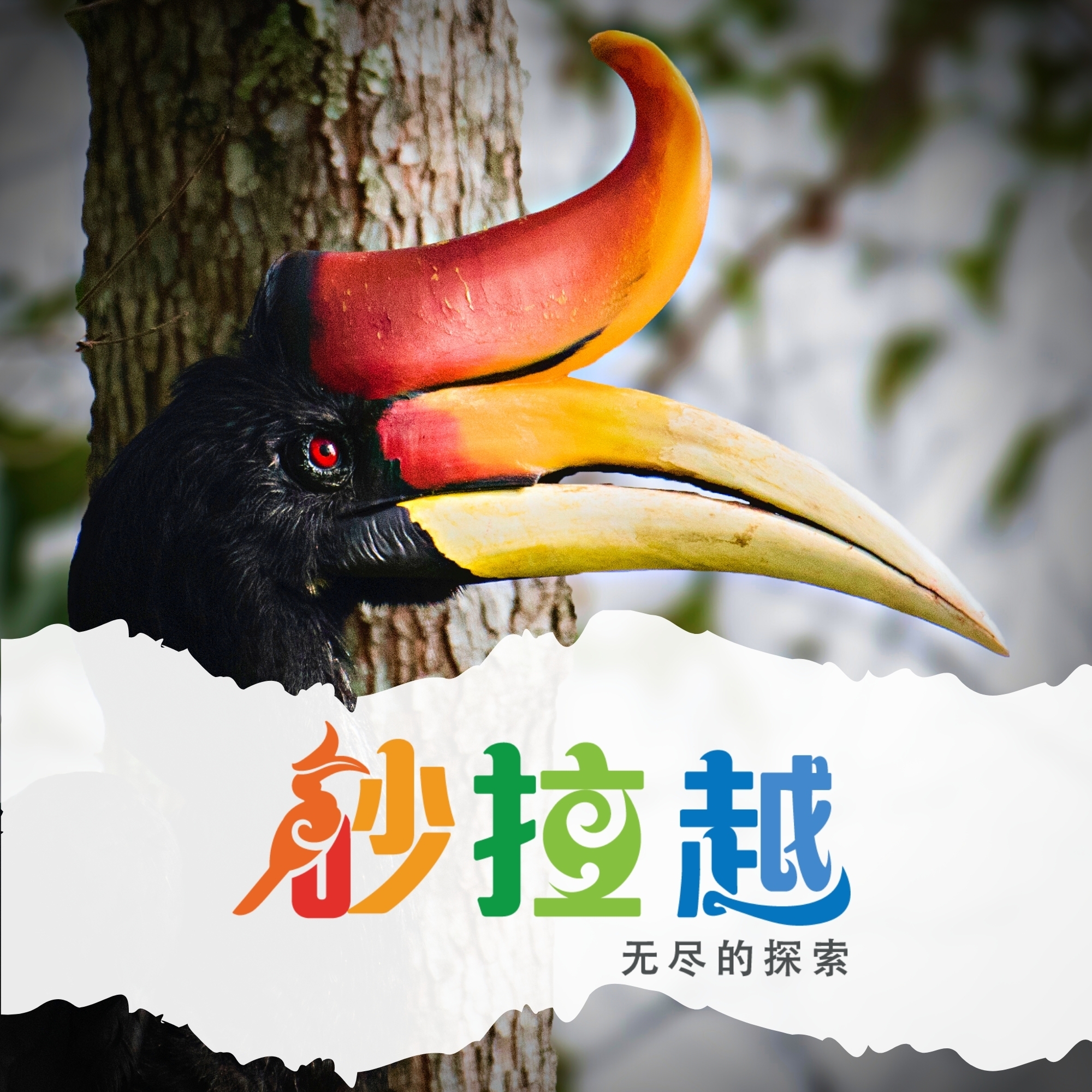 砂拉越旅游局 - ‘Pua Kumbu’是伊班族獨有的紡織品，顏色斑斕、紋路獨特。 ★Pua Kumbu對伊班人來說，就如同絲綢於中國人一樣 ...