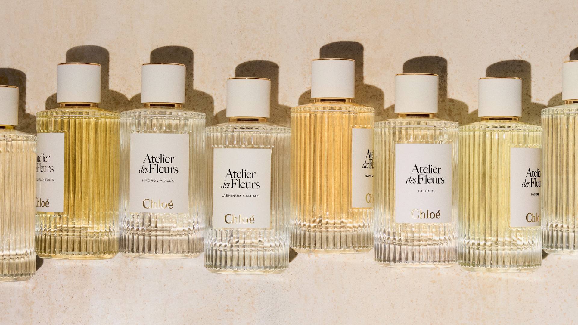 Chloé Atelier Des Fleurs Vert Soleil Eau De Parfum 50ml Get Link 