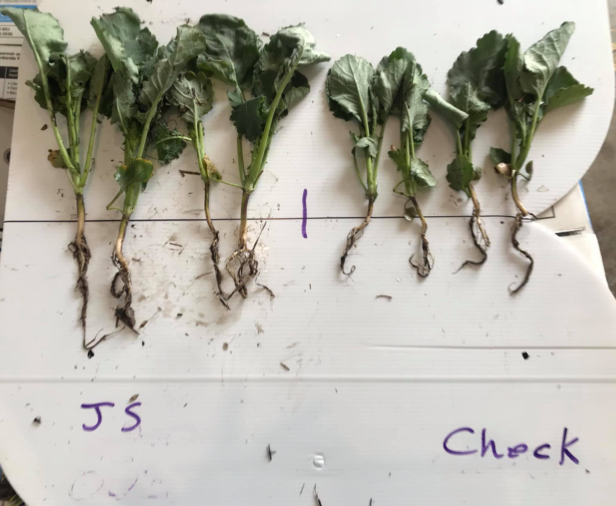 ClearView Agro