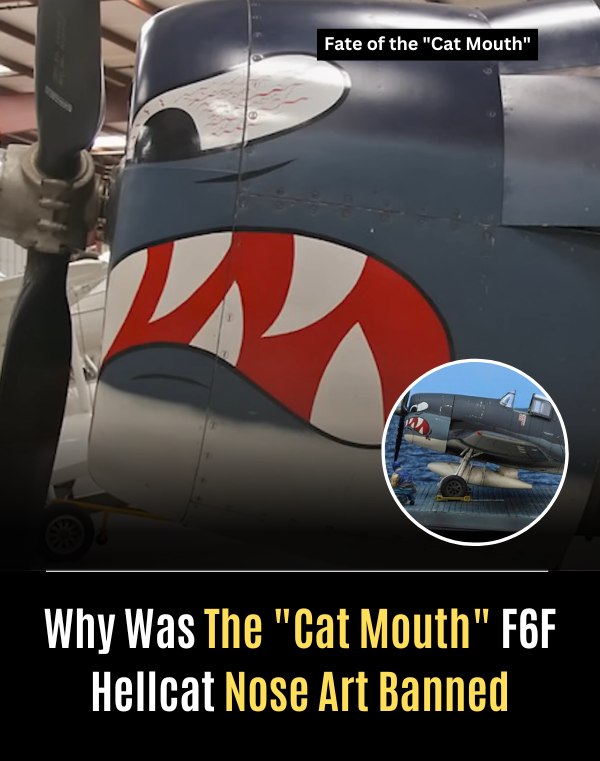 What WW1 planes had nose art?