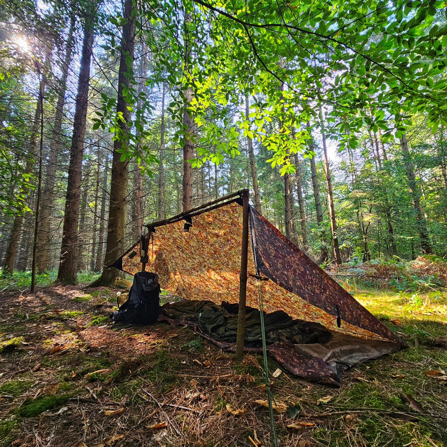 tent 4 personen CORE 4-Person Dome Tent, Orange Womens-Gloves-and-Scarf-Collection Removable Floor made of Thule Markisenvorzelt Residence G3 Frame Choice:Silver + Illumipeak™