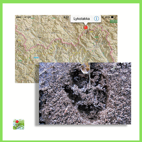 Avenza - WHO'S AFRAID OF THE BIG BAD WOLF? Tracking wildlife in Frakto ...