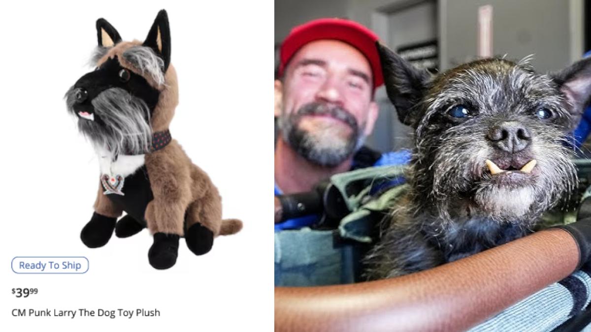CM Punk's Larry the Dog toy plush available on WWE Shop