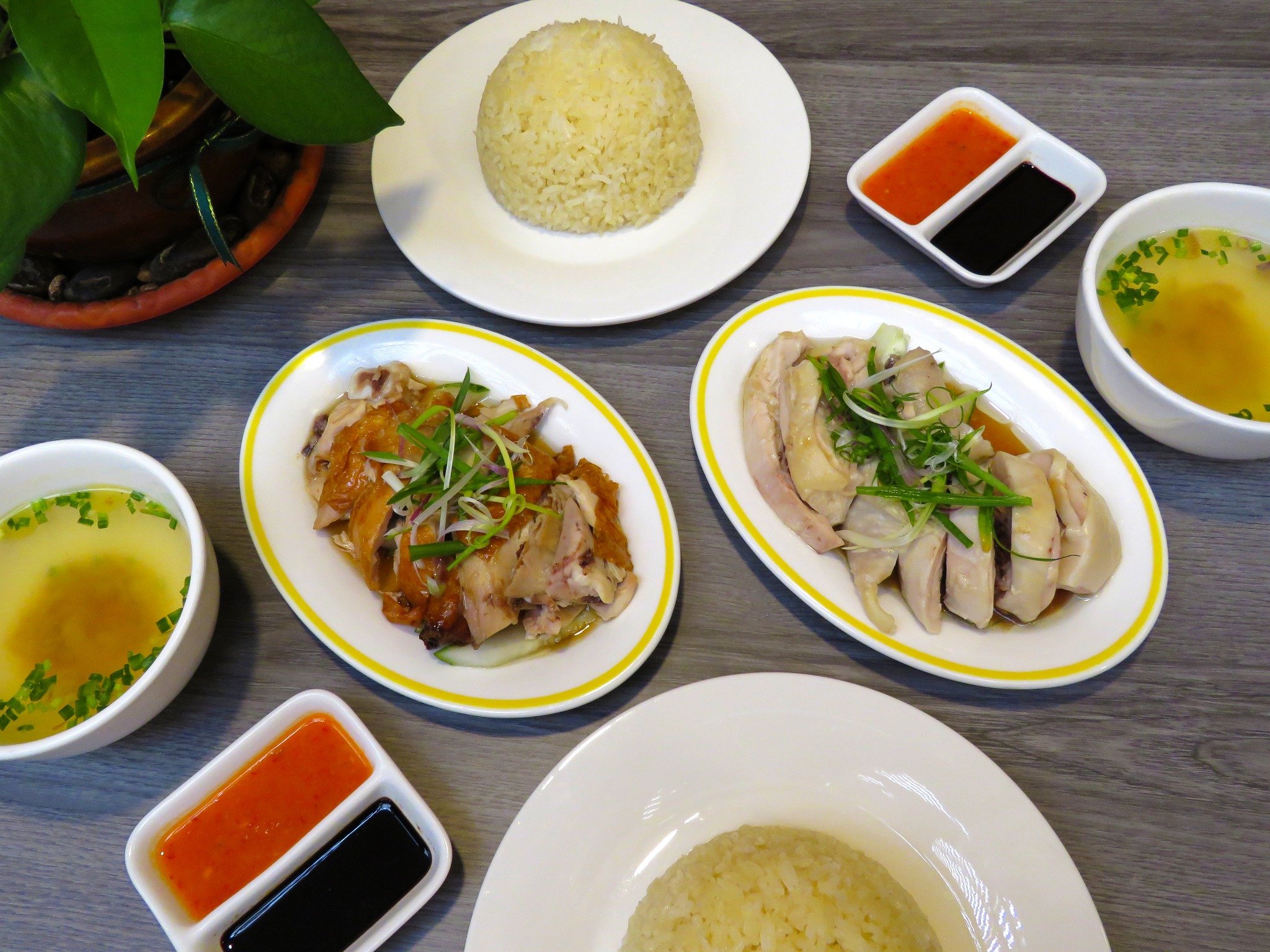 Chicken Rice & Dim Sum