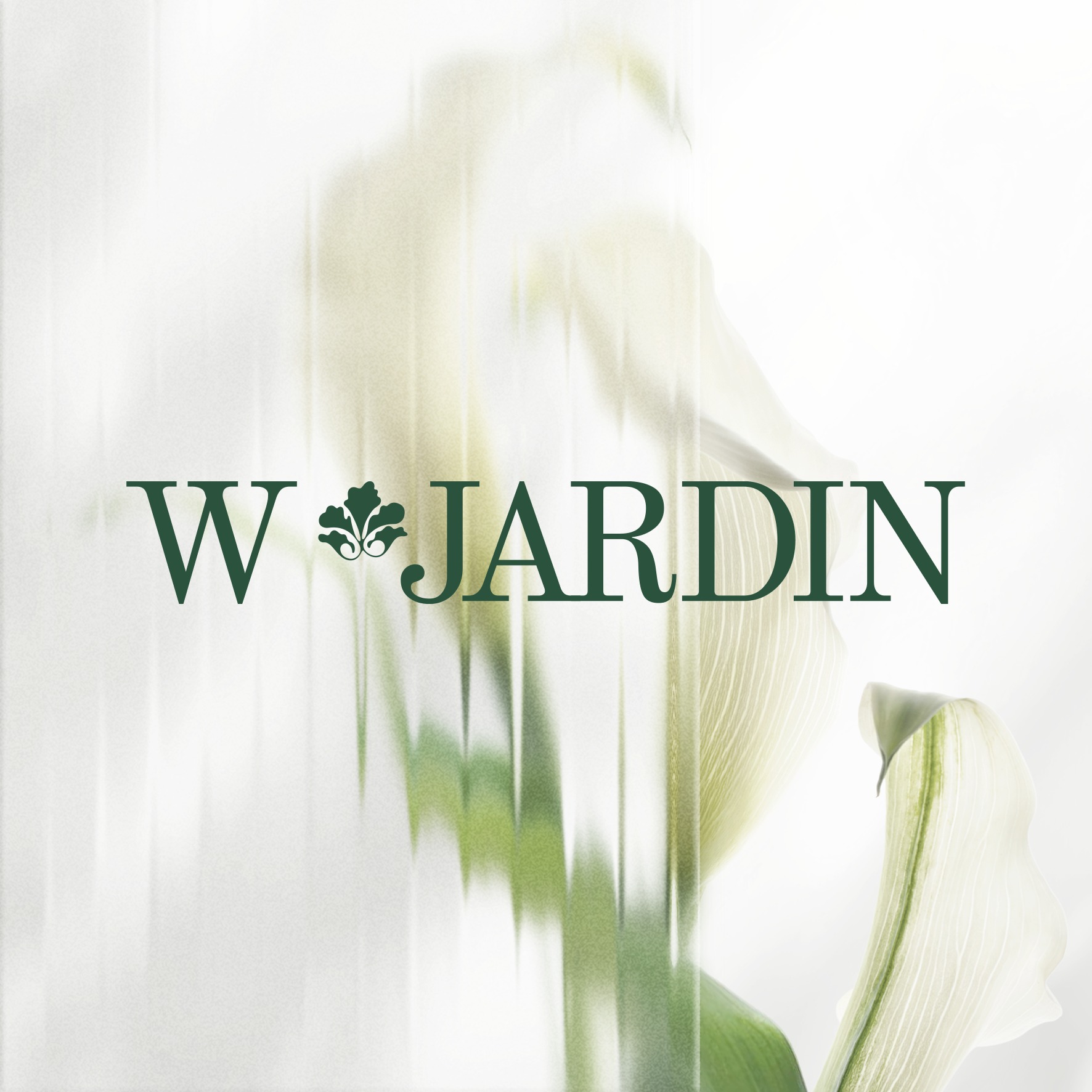 W.Jardin - 𝐋𝐎𝐕𝐄 𝐁𝐄𝐘𝐎𝐍𝐃 𝐓𝐇𝐄 𝐇𝐎𝐑𝐈𝐙𝐎𝐍 - 𝐕𝐈𝐎𝐋𝐀 𝐏𝐇𝐀𝐌 - 𝐕𝐈𝐂𝐓𝐎𝐑... | Facebook