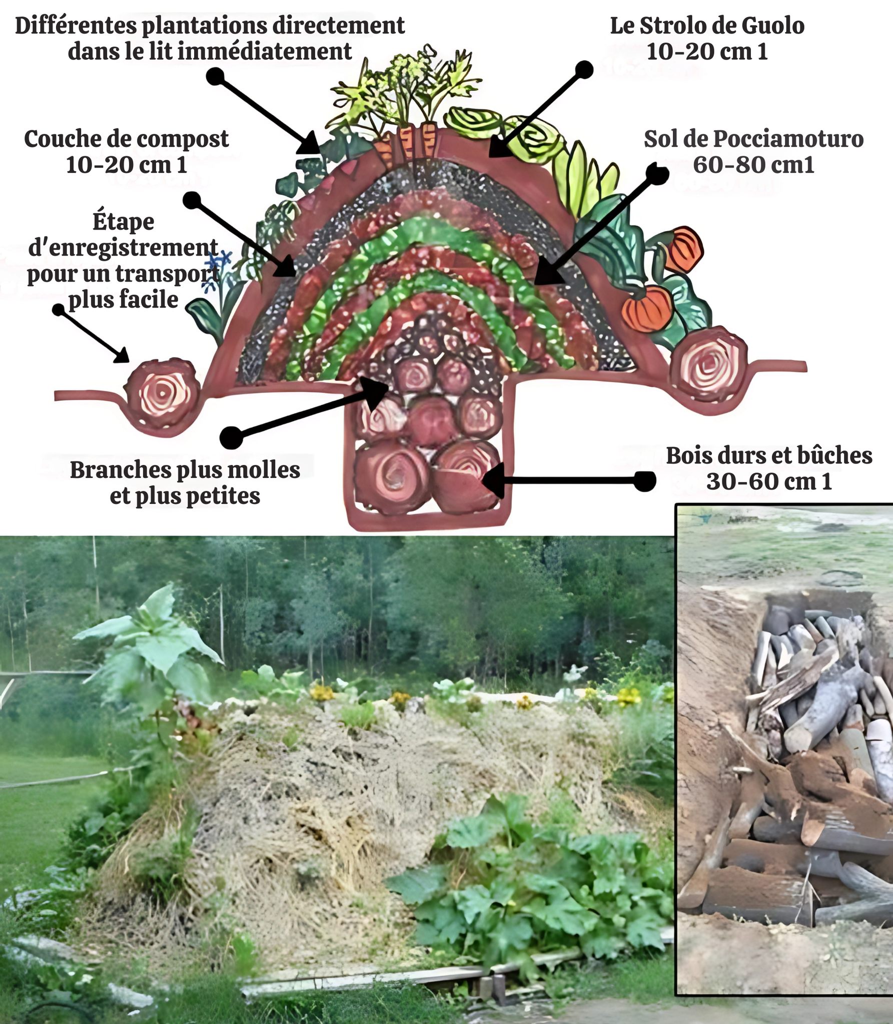 Astuces de Jardinage - Comment construire des lits Hugelkultur et ...