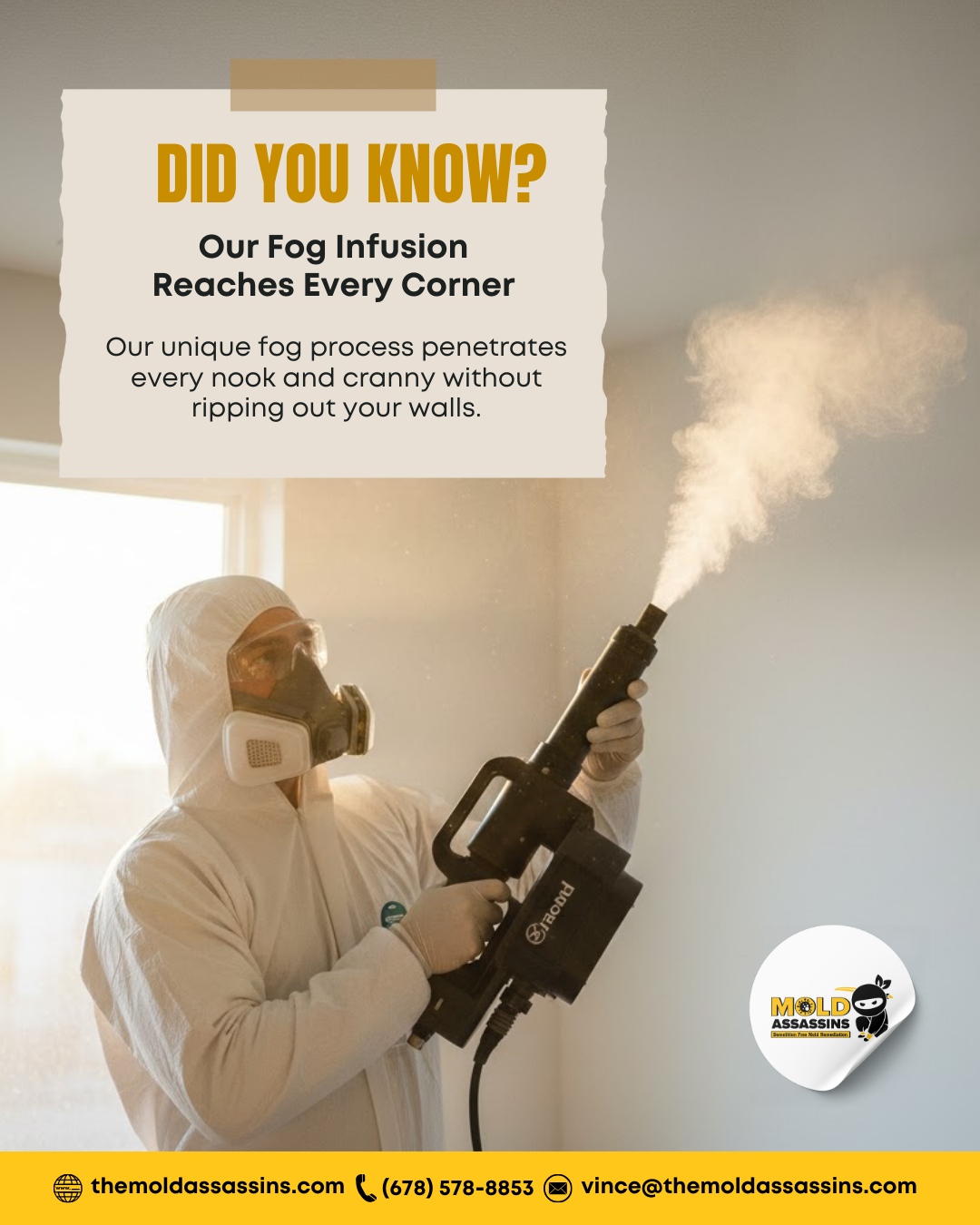 The Mold Assassins LLC | Alpharetta GA