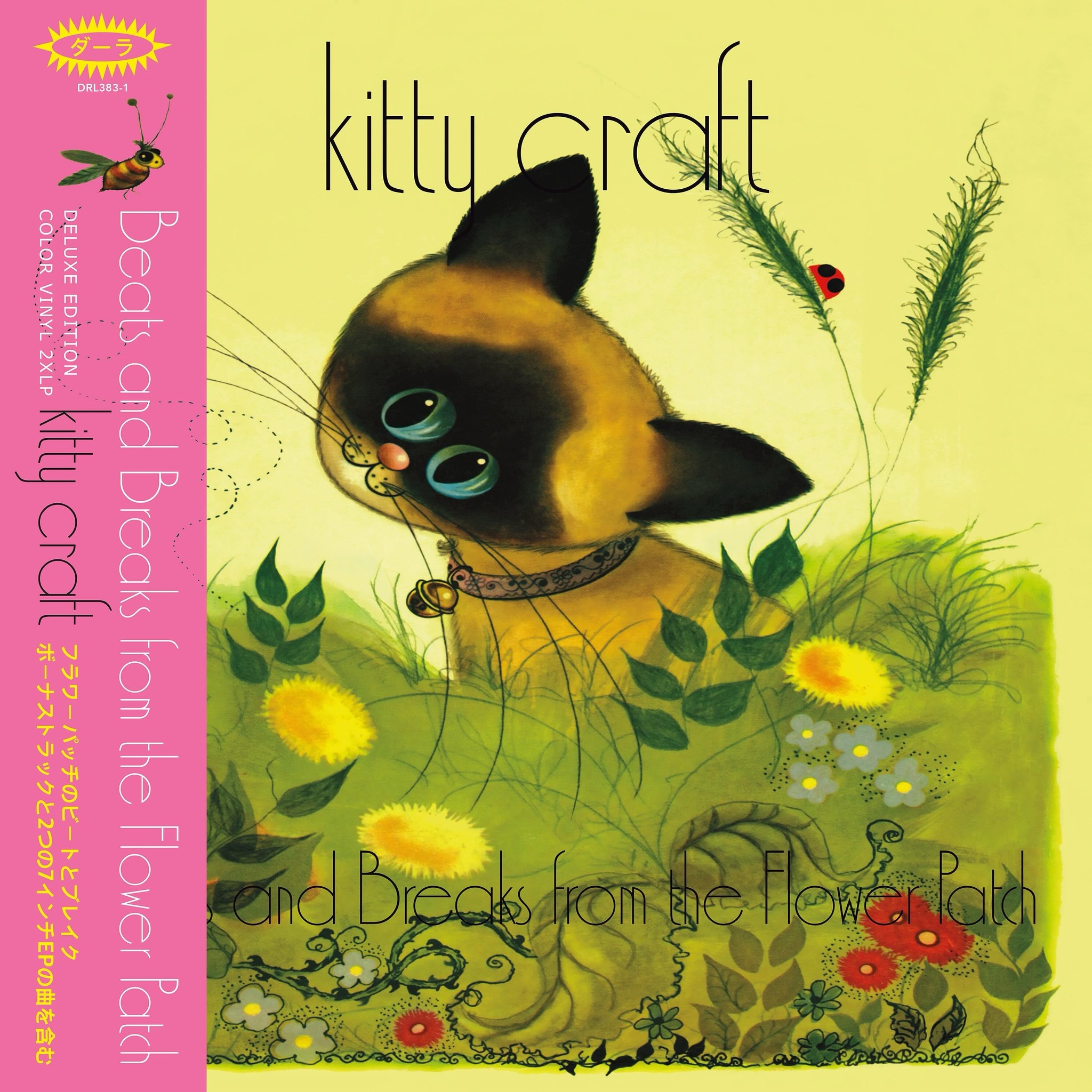 ANNOUNCEMENT ** Lo-fi indie legend Kitty Craft will be stopping 