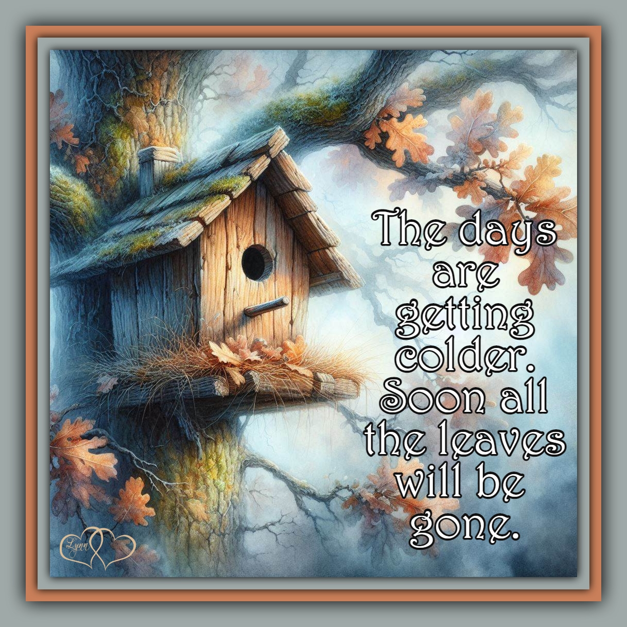 🍂🩶🍂 