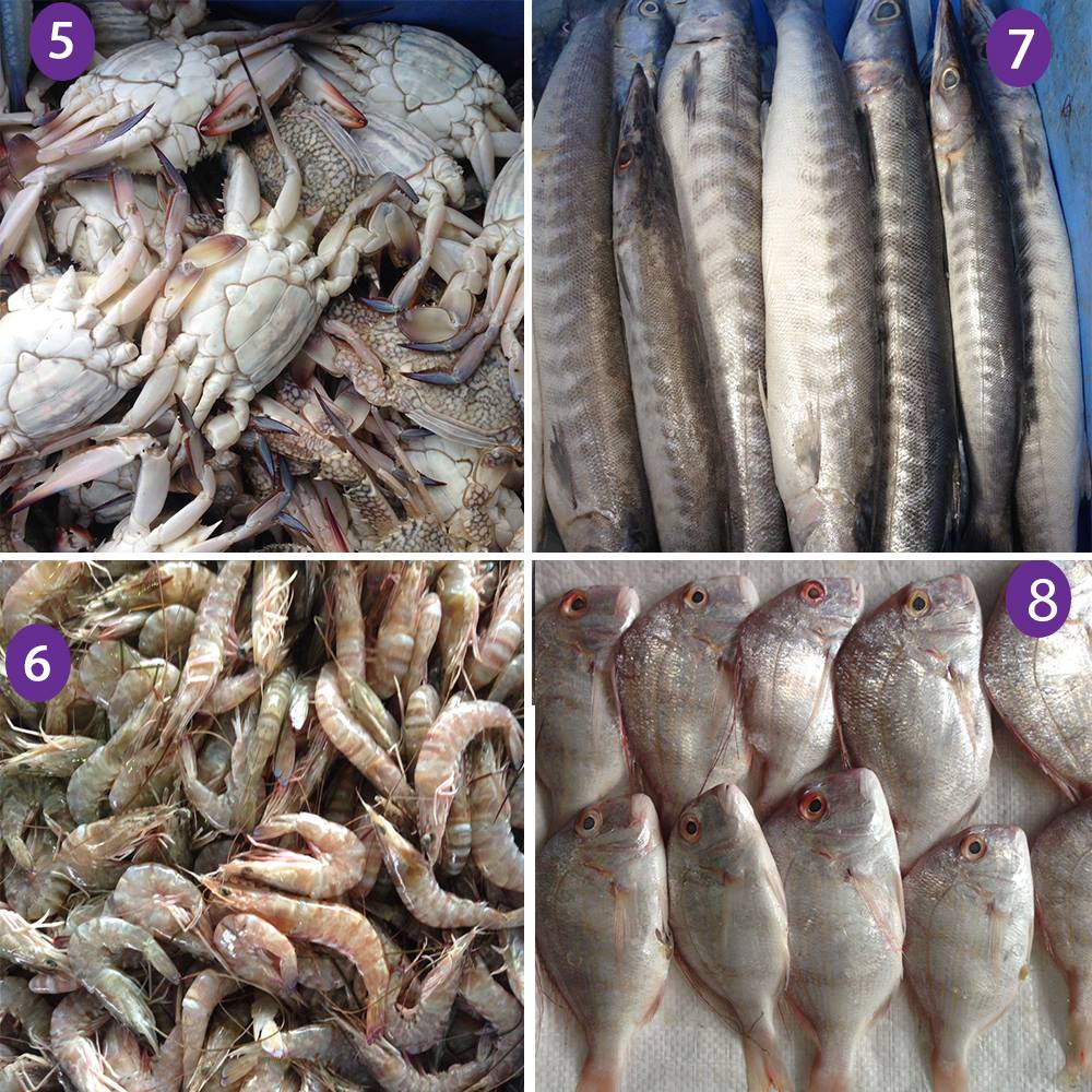 Fish Jubail | Jubail