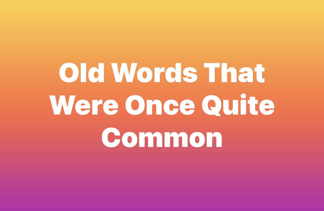 Lee's Deli - In keeping with National Retro Day… Caddywompus | Facebook