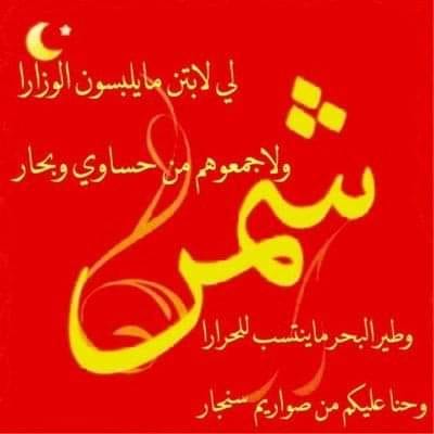 شمر الدغيرات عشيره الداور اعلام قبيلة الدغيرات الداور Facebook