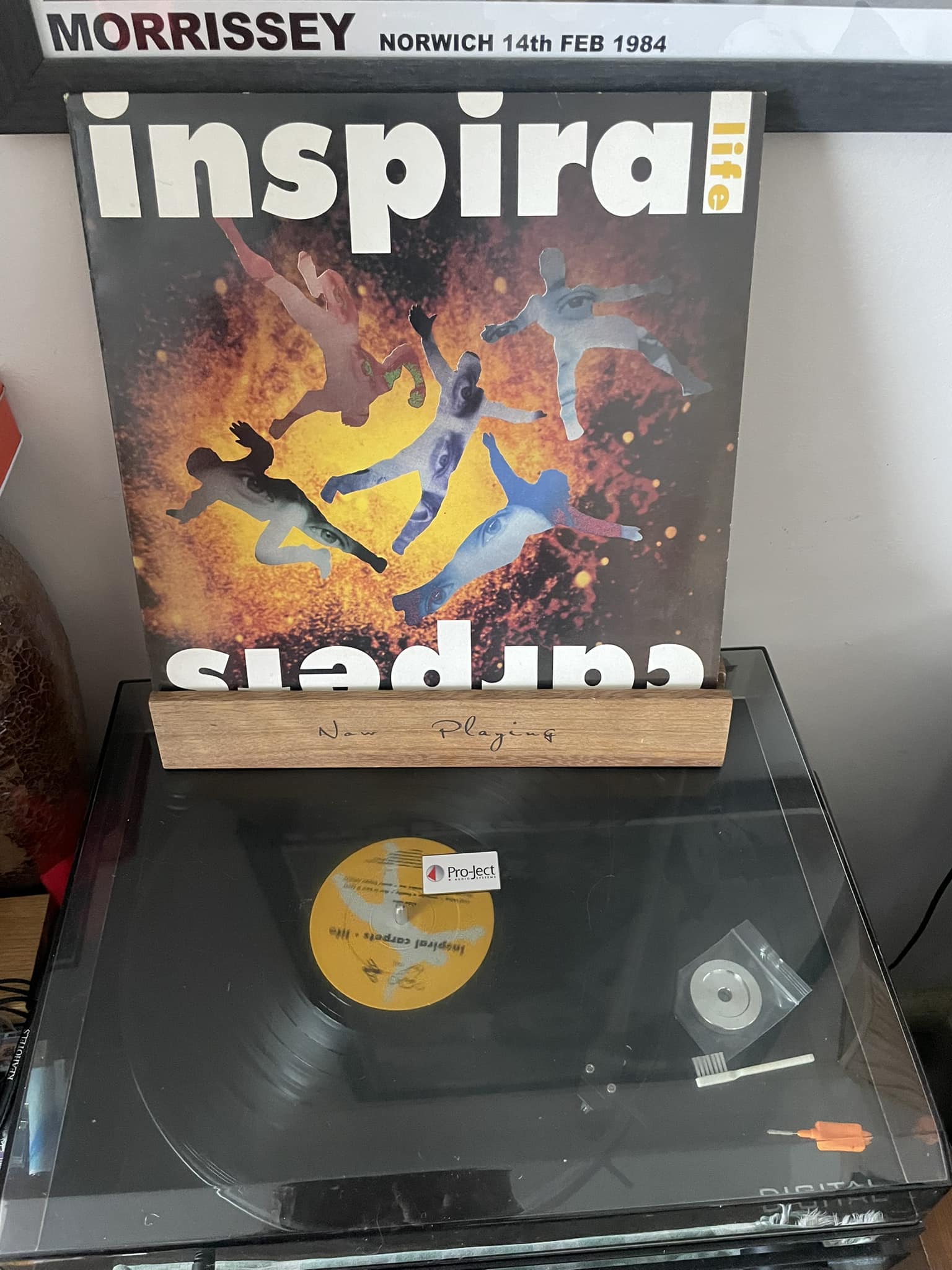 Inspiral Carpets - The complete singles (2023)