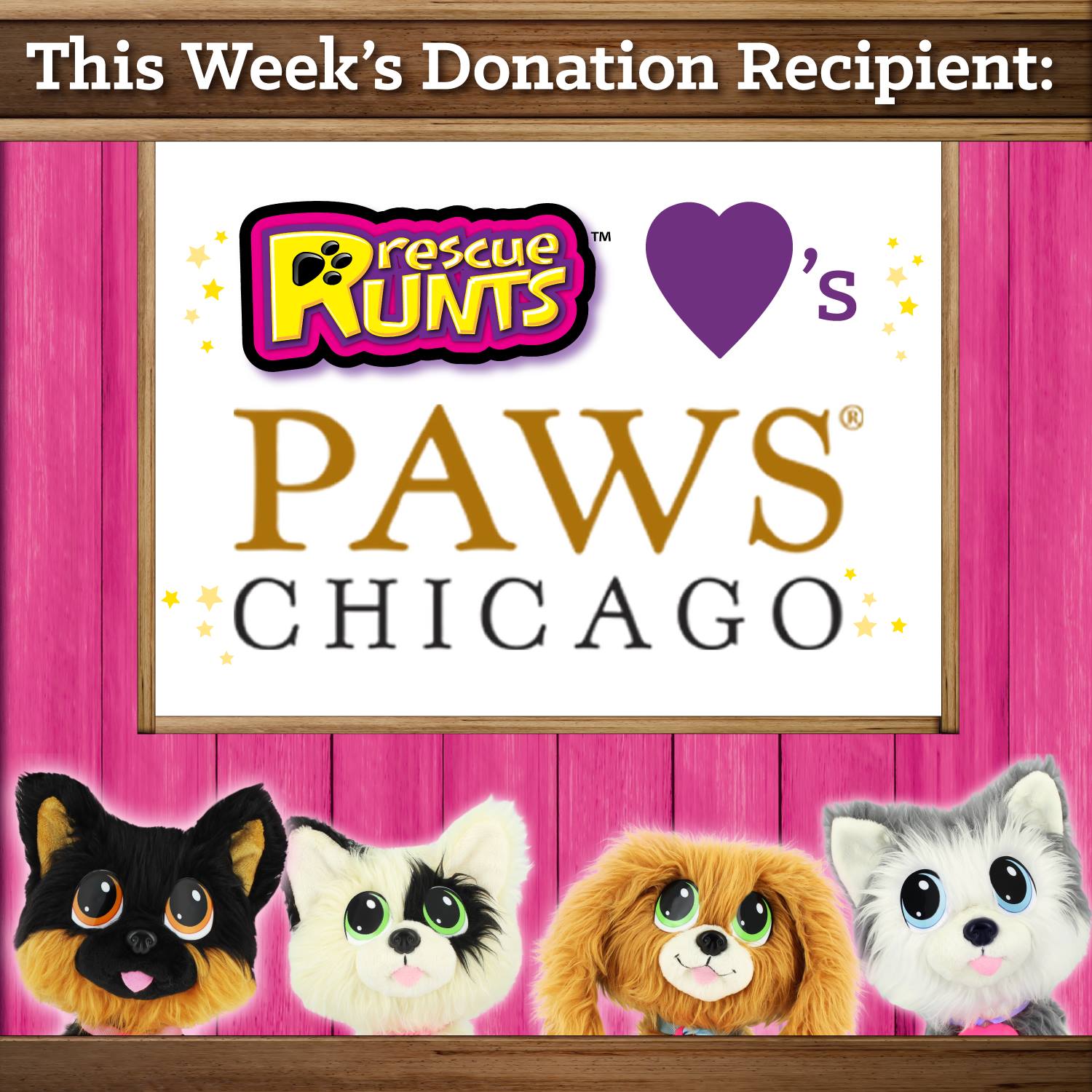 KD - Congrats to PAWS Chicago, who is getting a $500 donation from the ...