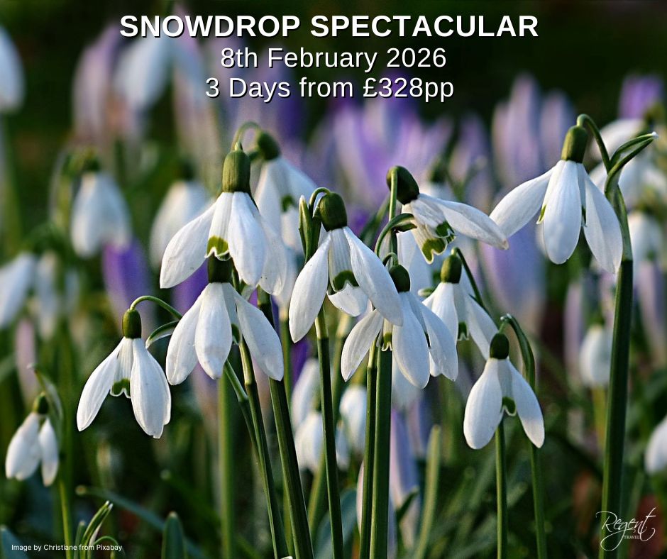 Regent - 𝐒𝐧𝐨𝐰𝐝𝐫𝐨𝐩 𝐒𝐩𝐞𝐜𝐭𝐚𝐜𝐮𝐥𝐚𝐫 📅 8th February 2026 ⏳ 3 days 💷 From £ ...