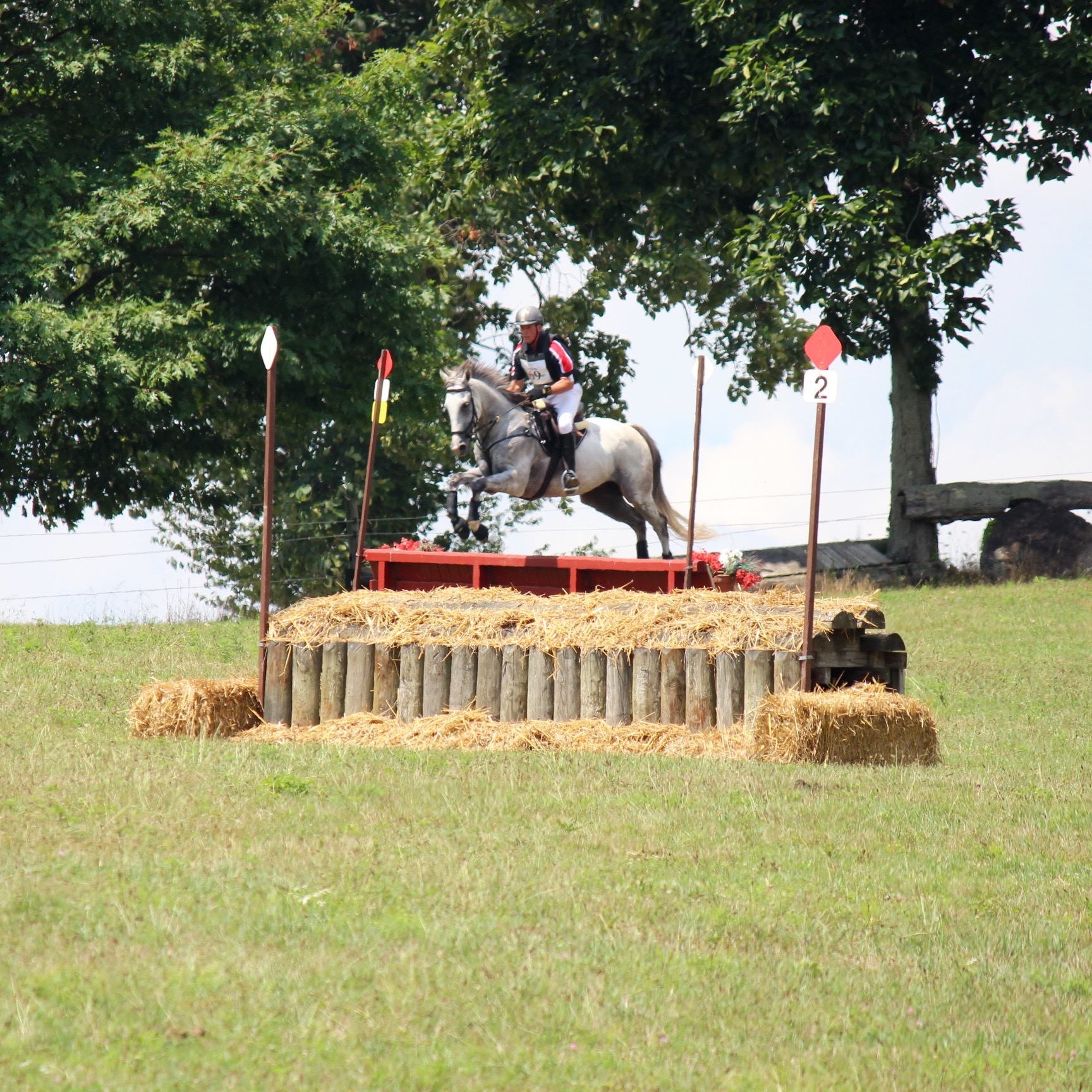 Rob Rohrer Equestrian Excellence - Home