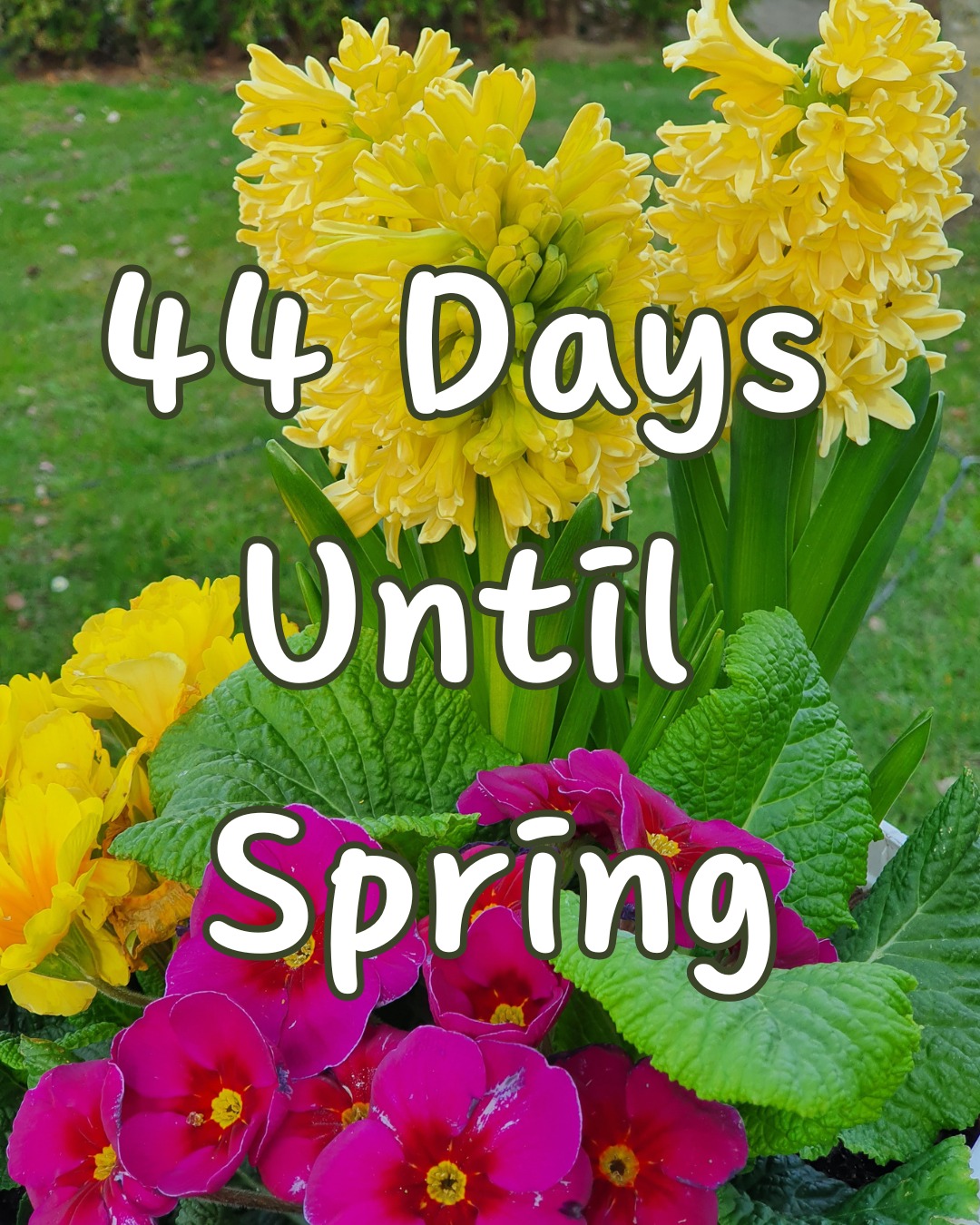 Only 44 days until Spring! ☀️... - I Love Flowers & Nature | Facebook