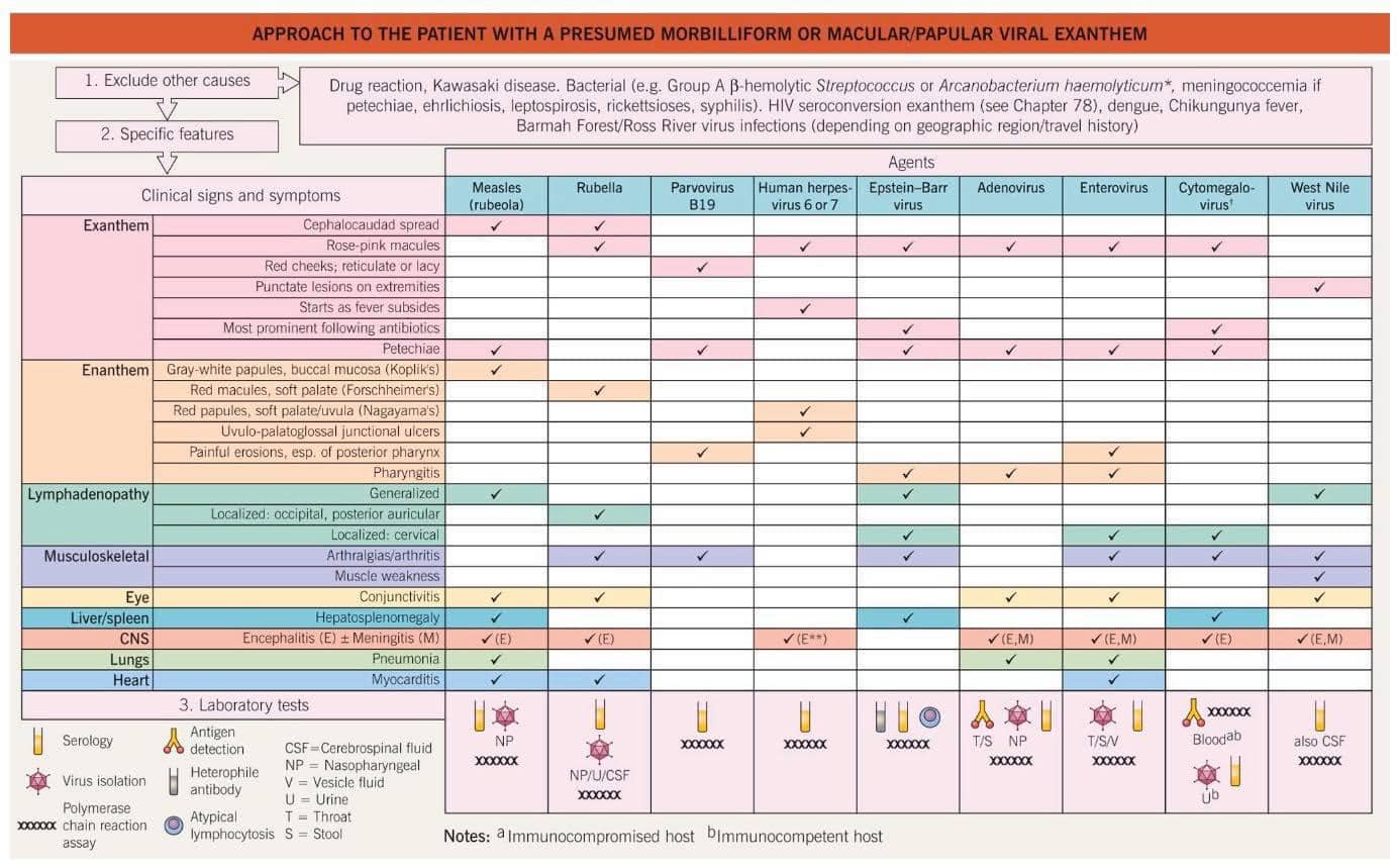 HELLO - [ Approach to Maculopapular Viral Exanthem ] เมื่อผู้ป่วยมีไข้ ...